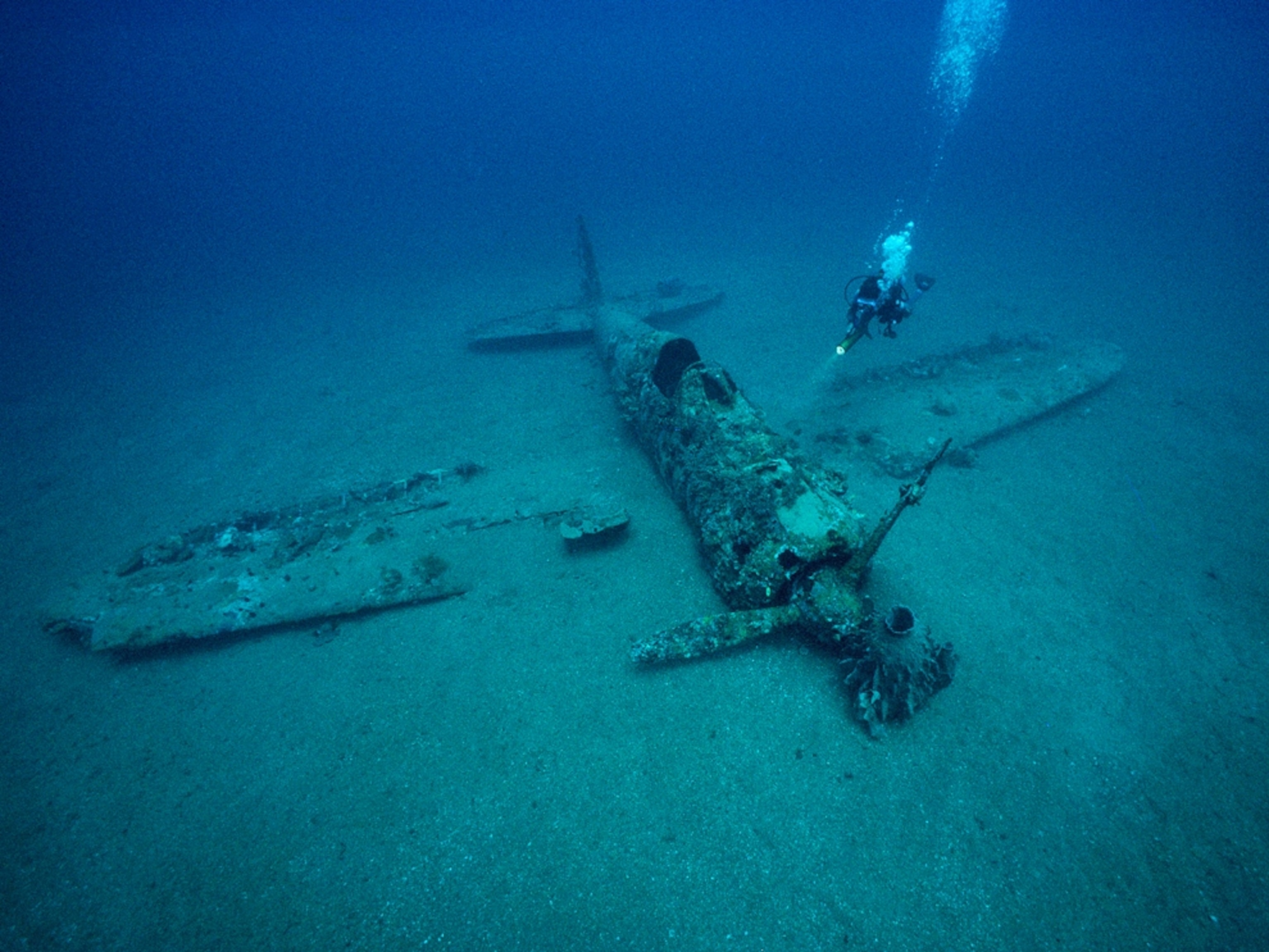 Sunken Japanese plane