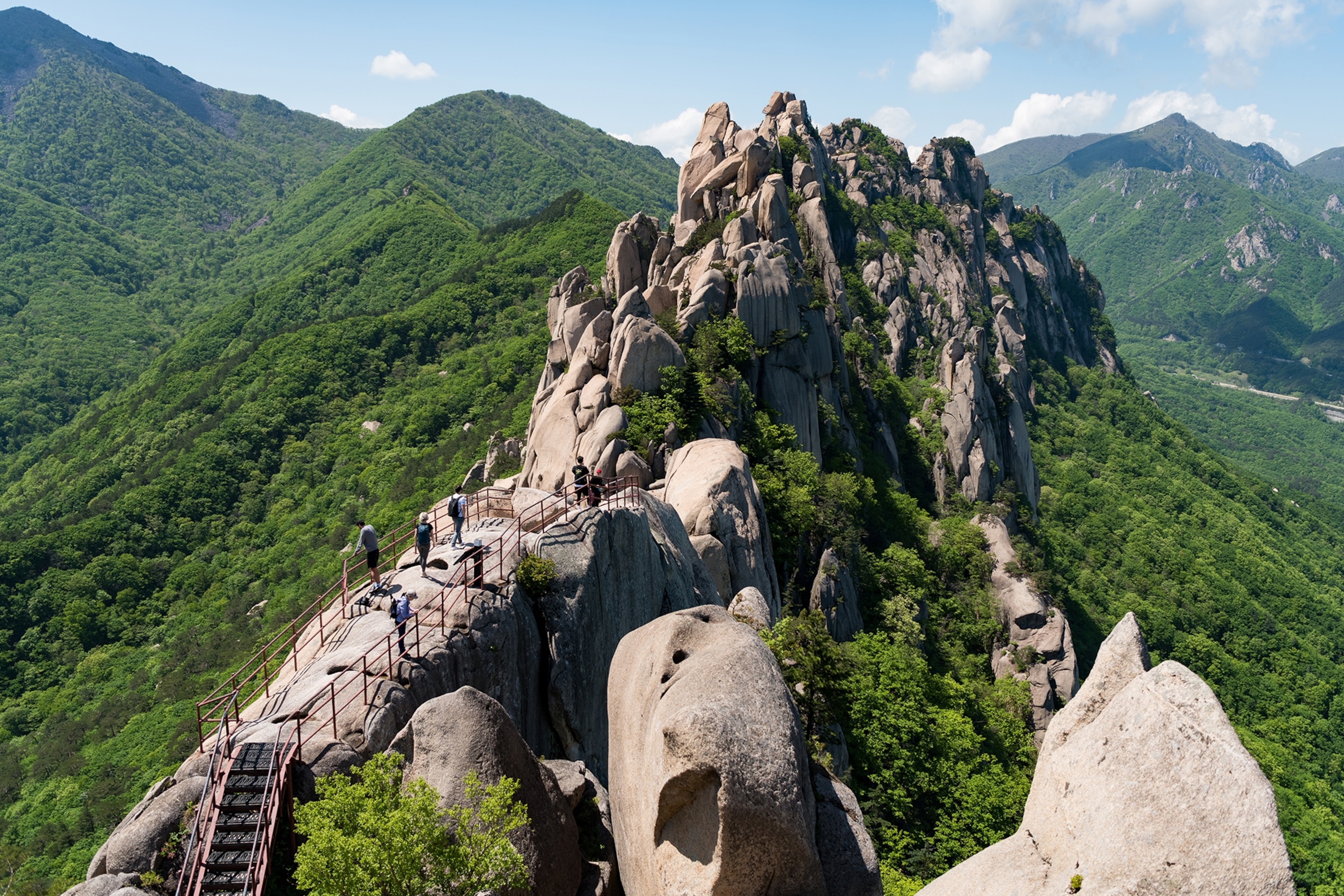 Mountains surrounded by lush vegetation
