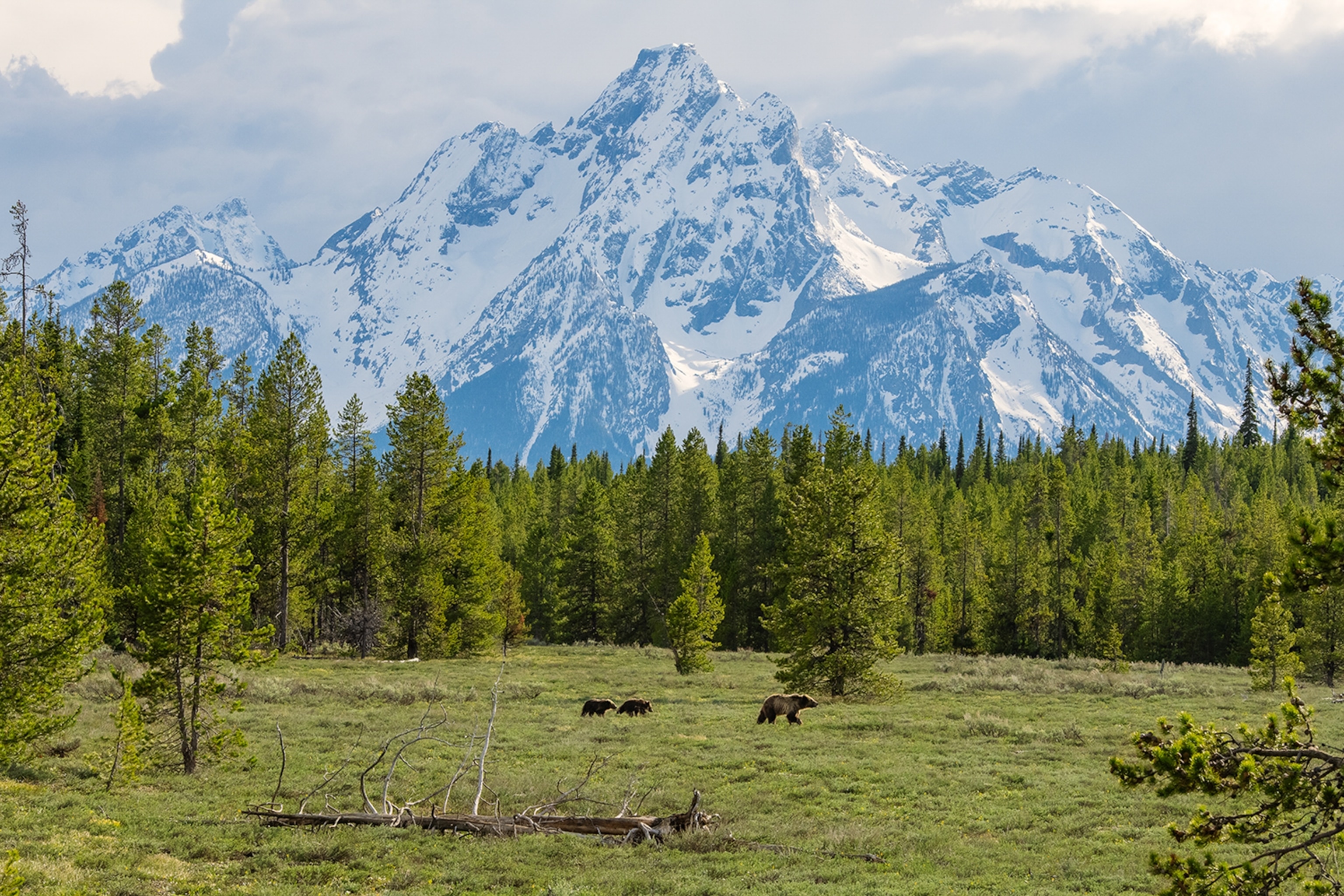 A mountain range in view with green scenic landscape.