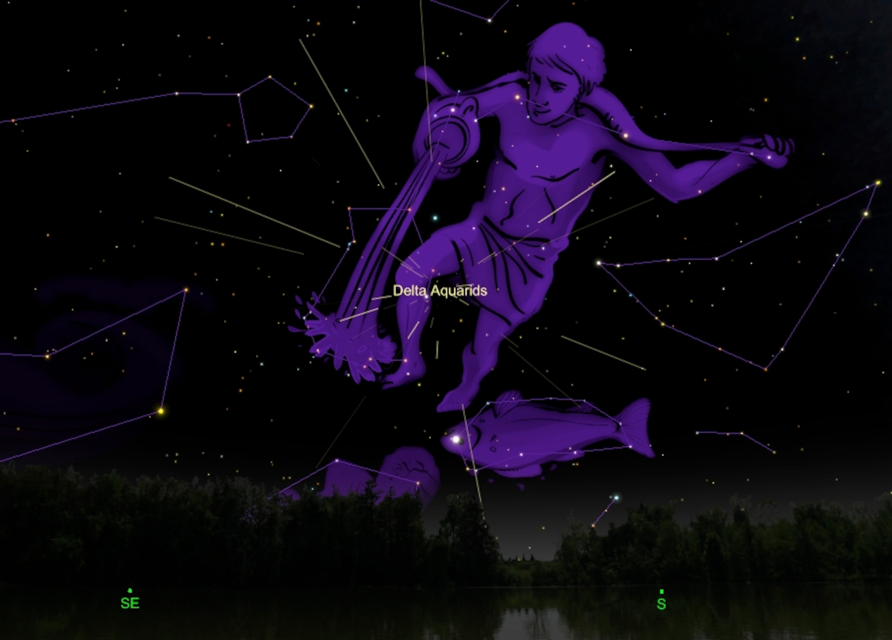 the delta aquarids