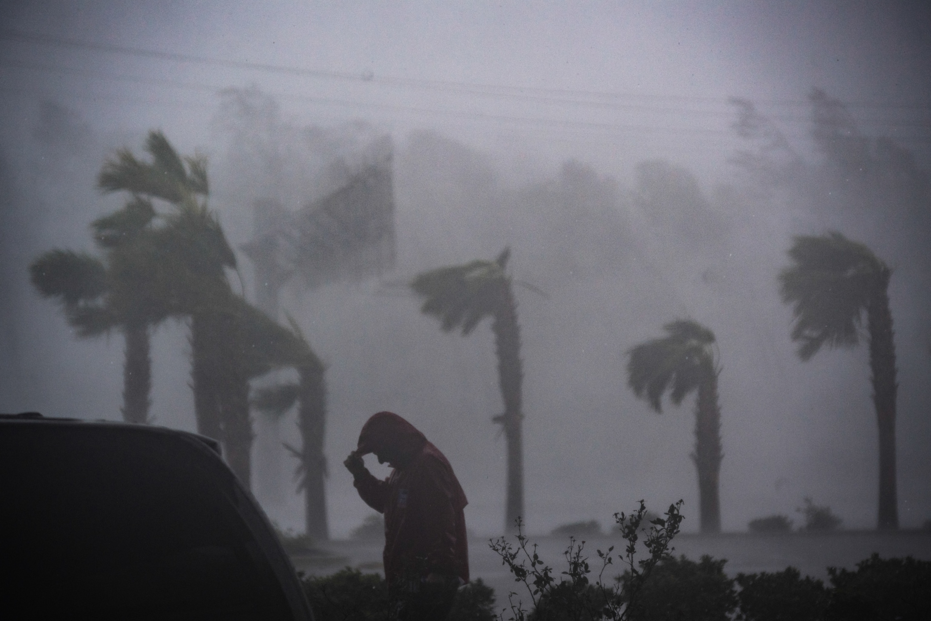 people watching as Hurricane Michael makes landfall