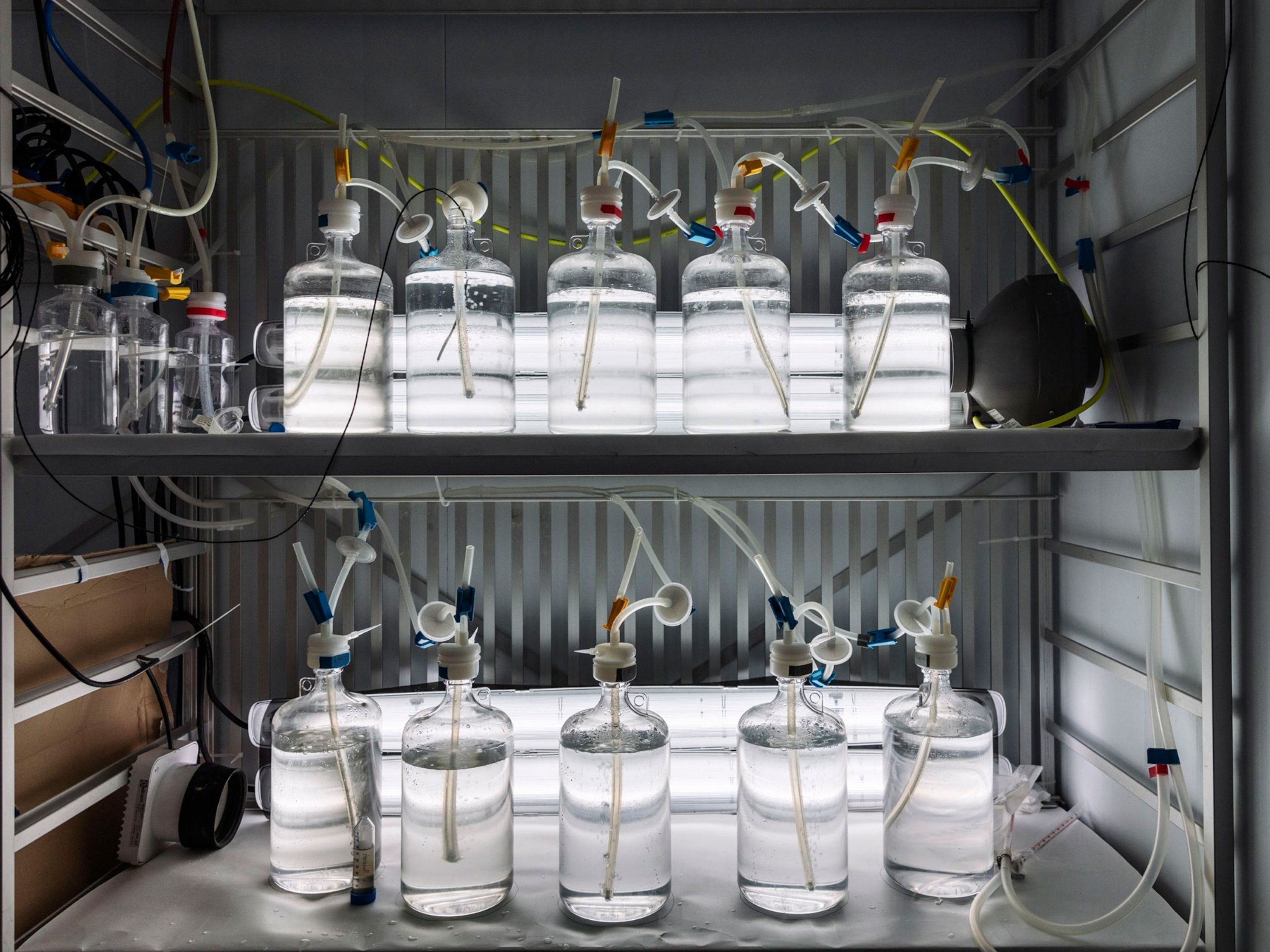 seawater samples.