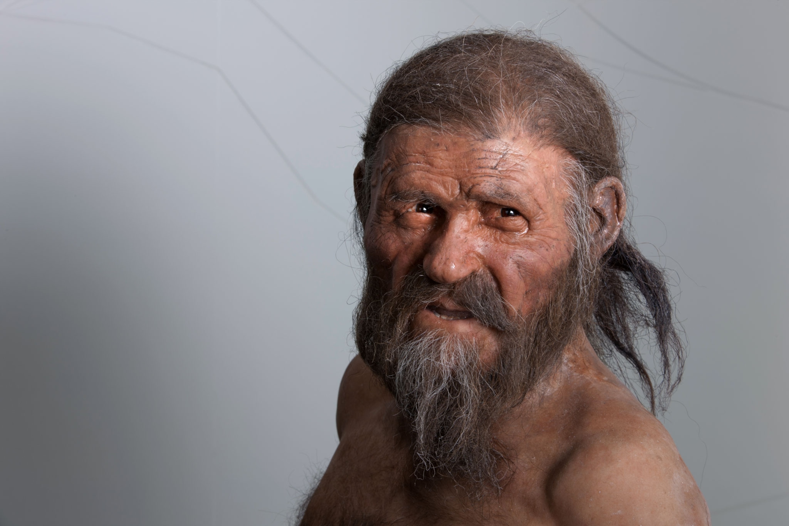a replica of Otzi the Iceman