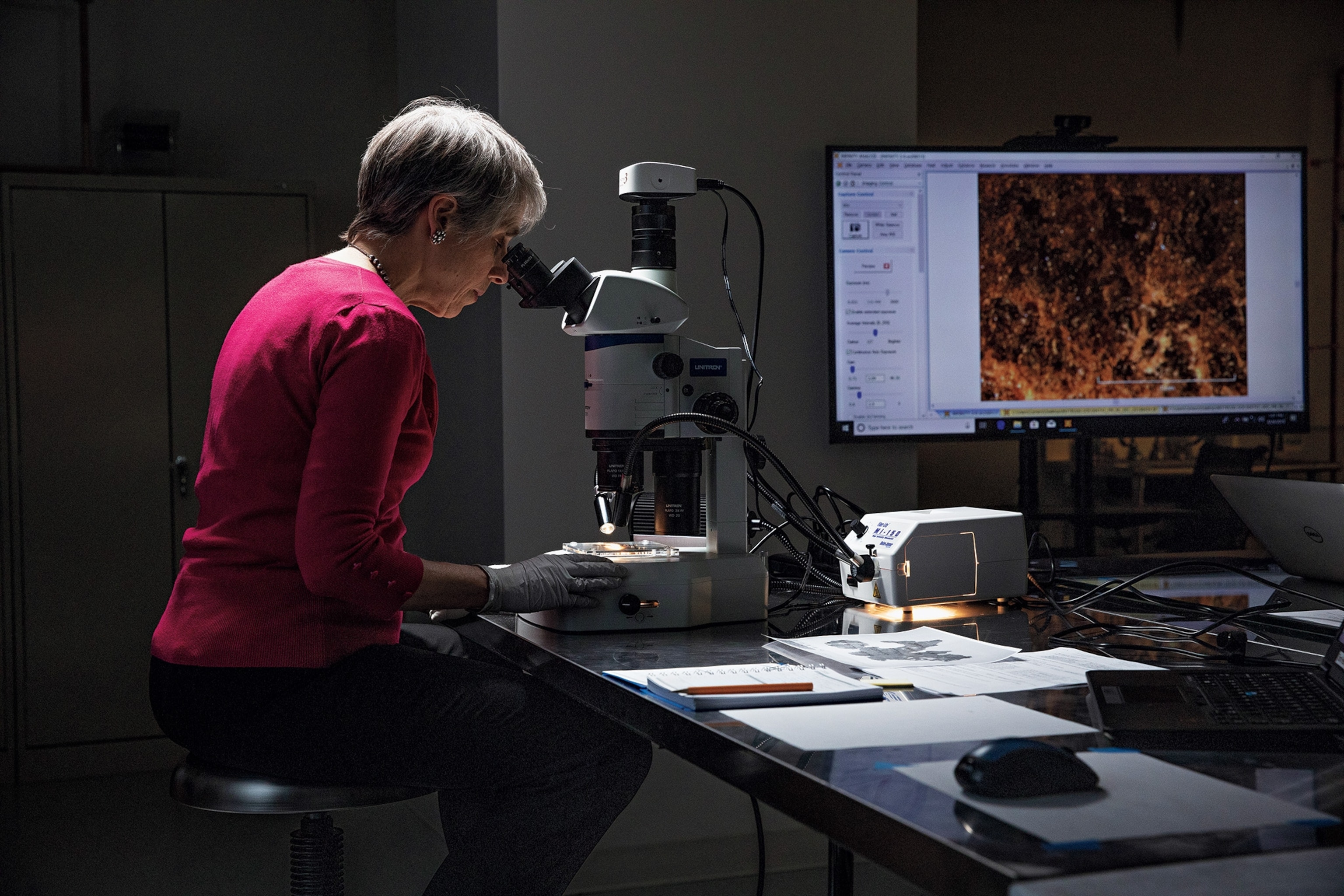 Investigator Abigail Quandt, head of Book and Paper Conservation at Baltimore’s Walters Art Museum, examines a fragment of the Book of Genesis.