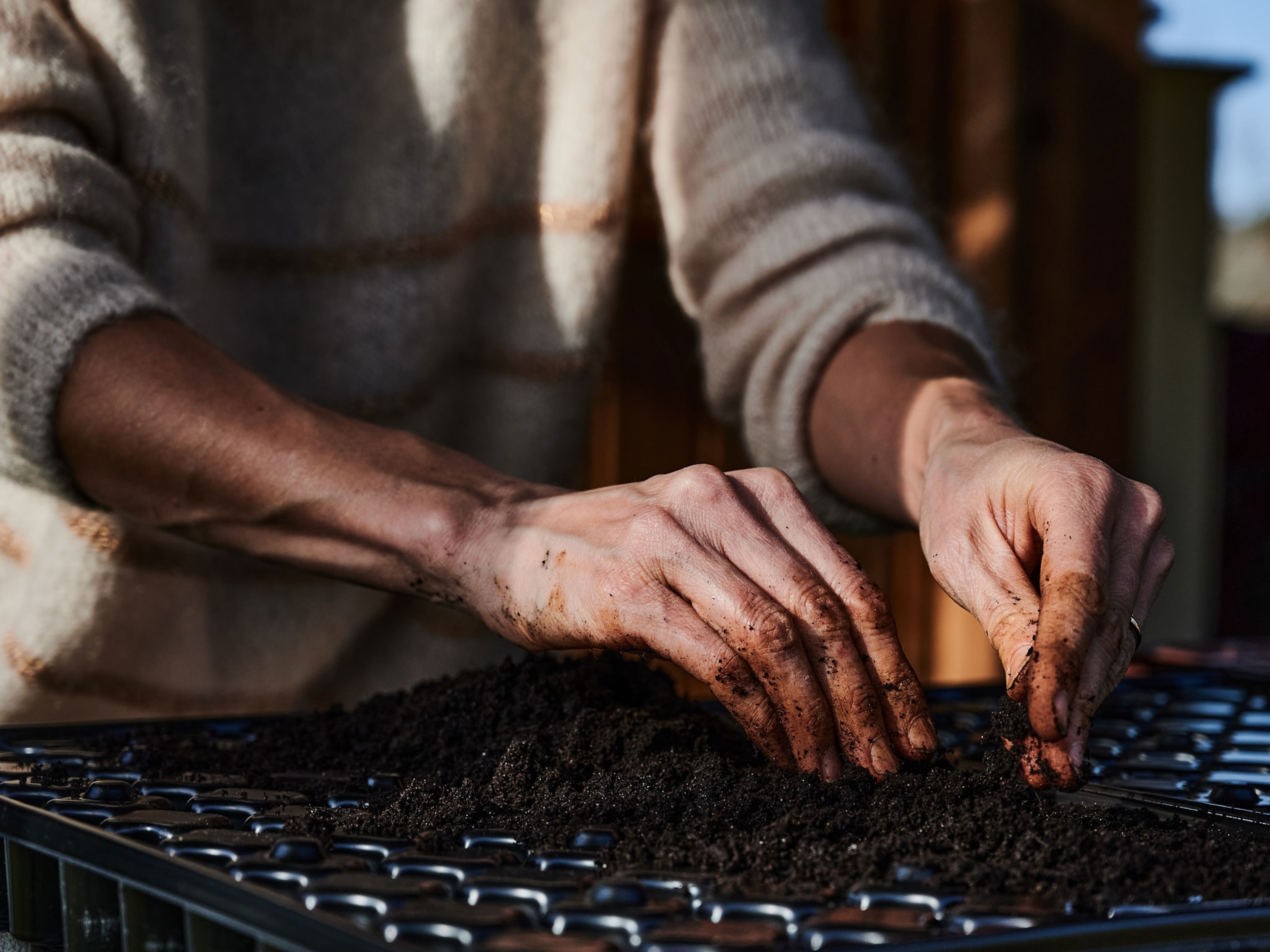 Planting floral seedlings by hand.