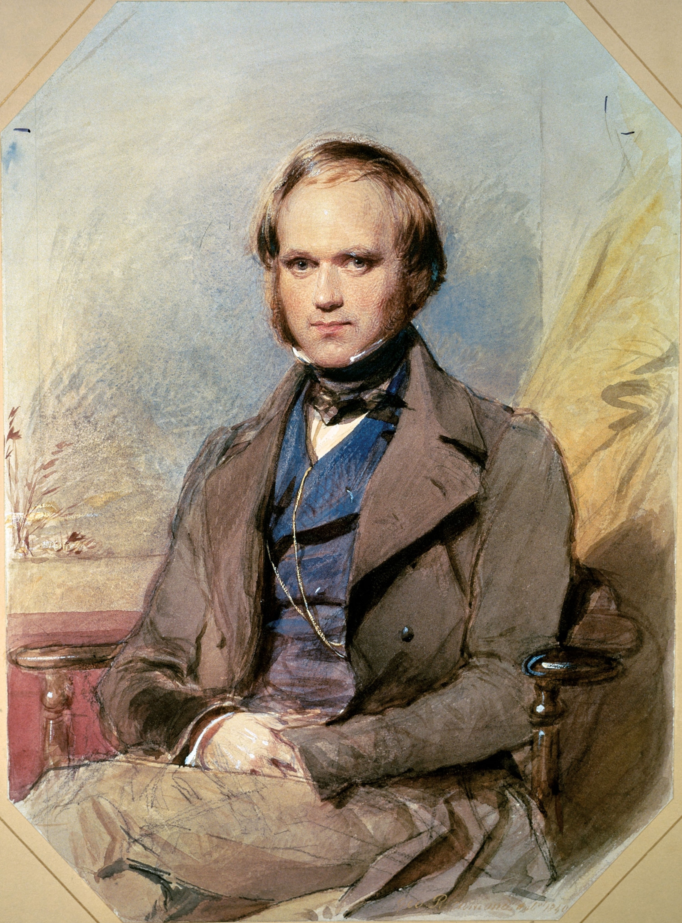 A drawing of Charles Darwin