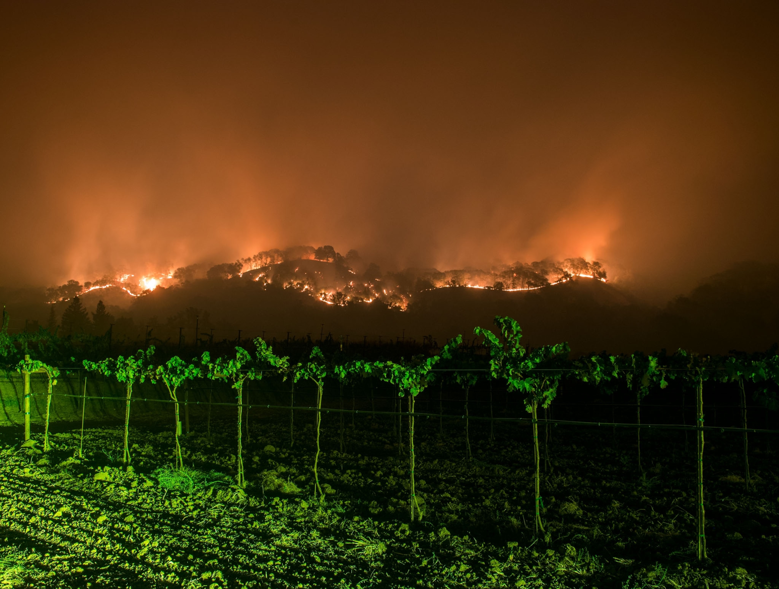 small trees in the foreground and a fire blazing on the mountain behind