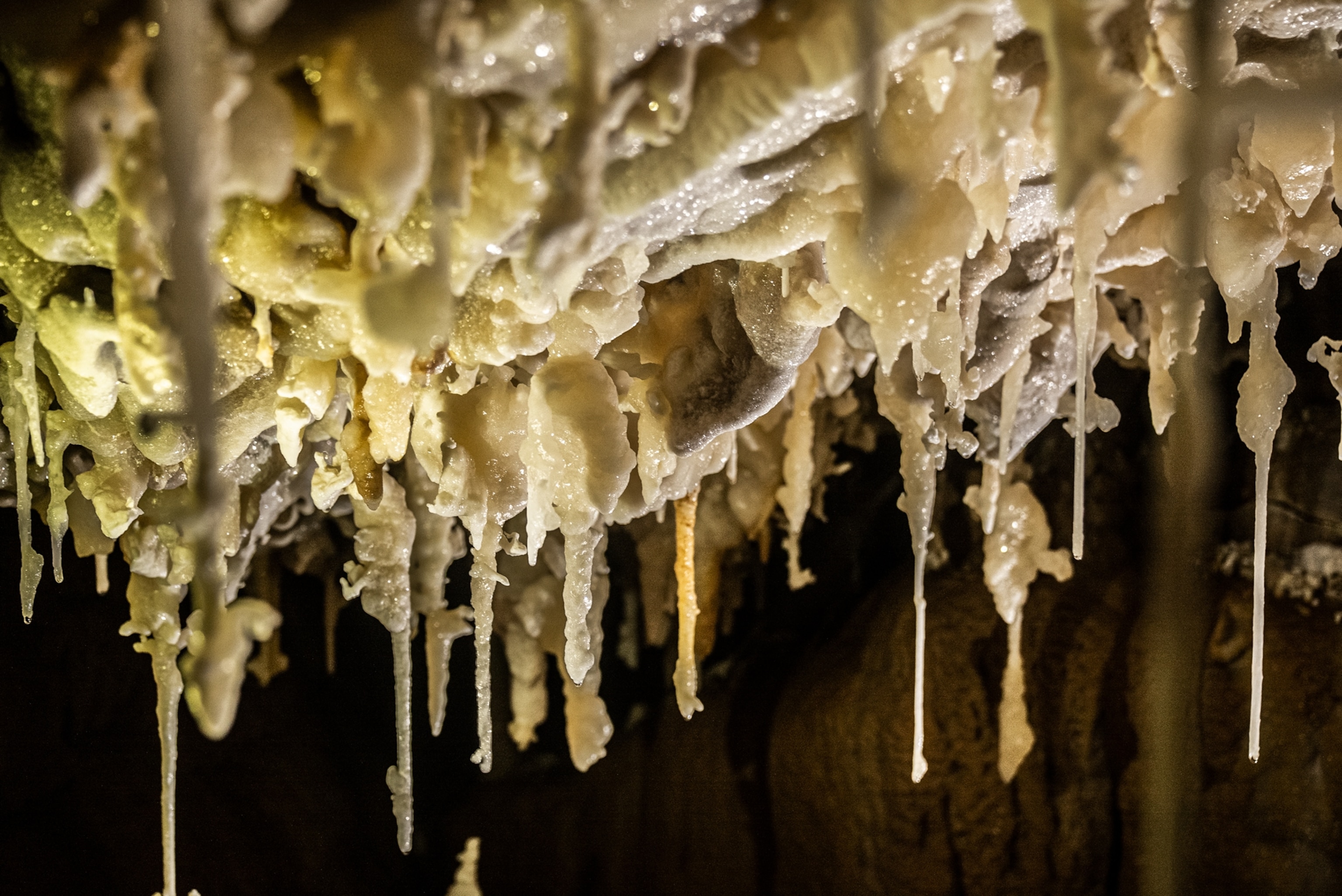 Picture of stalactites "dripping" from cave ceiling.