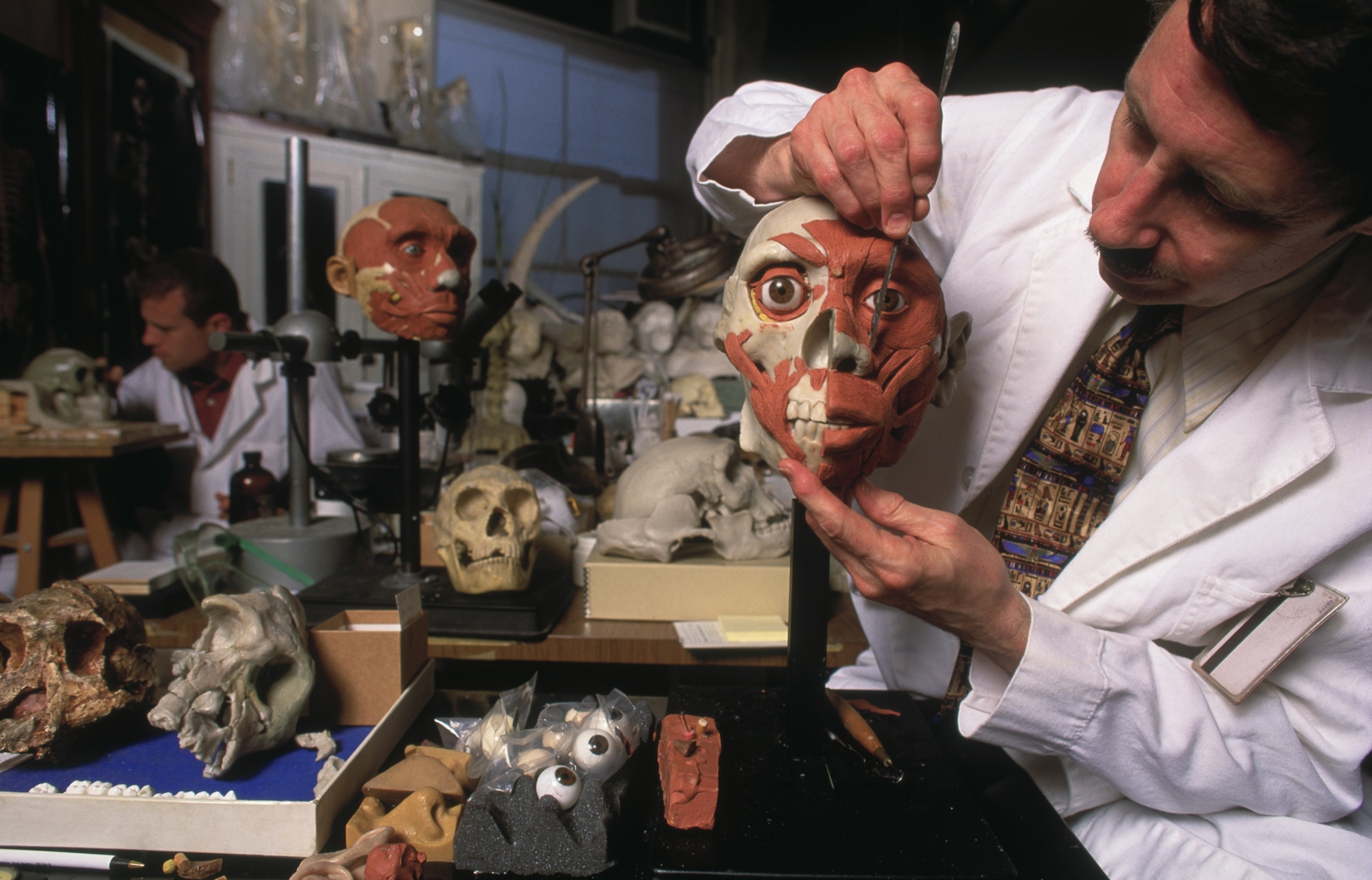 An artist holds up a partially constructed model of Peking Man's skull, which is half covered in model muscles; other skulls in various states of reconstruction as well as a tray of model eyeballs fill the artist's desk.