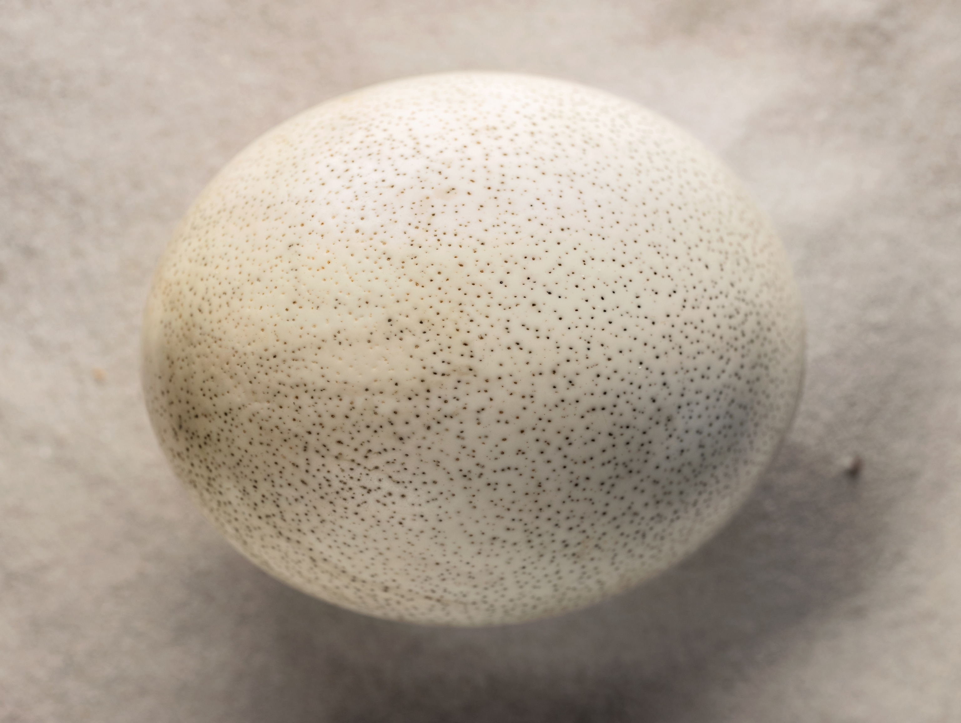 an egg