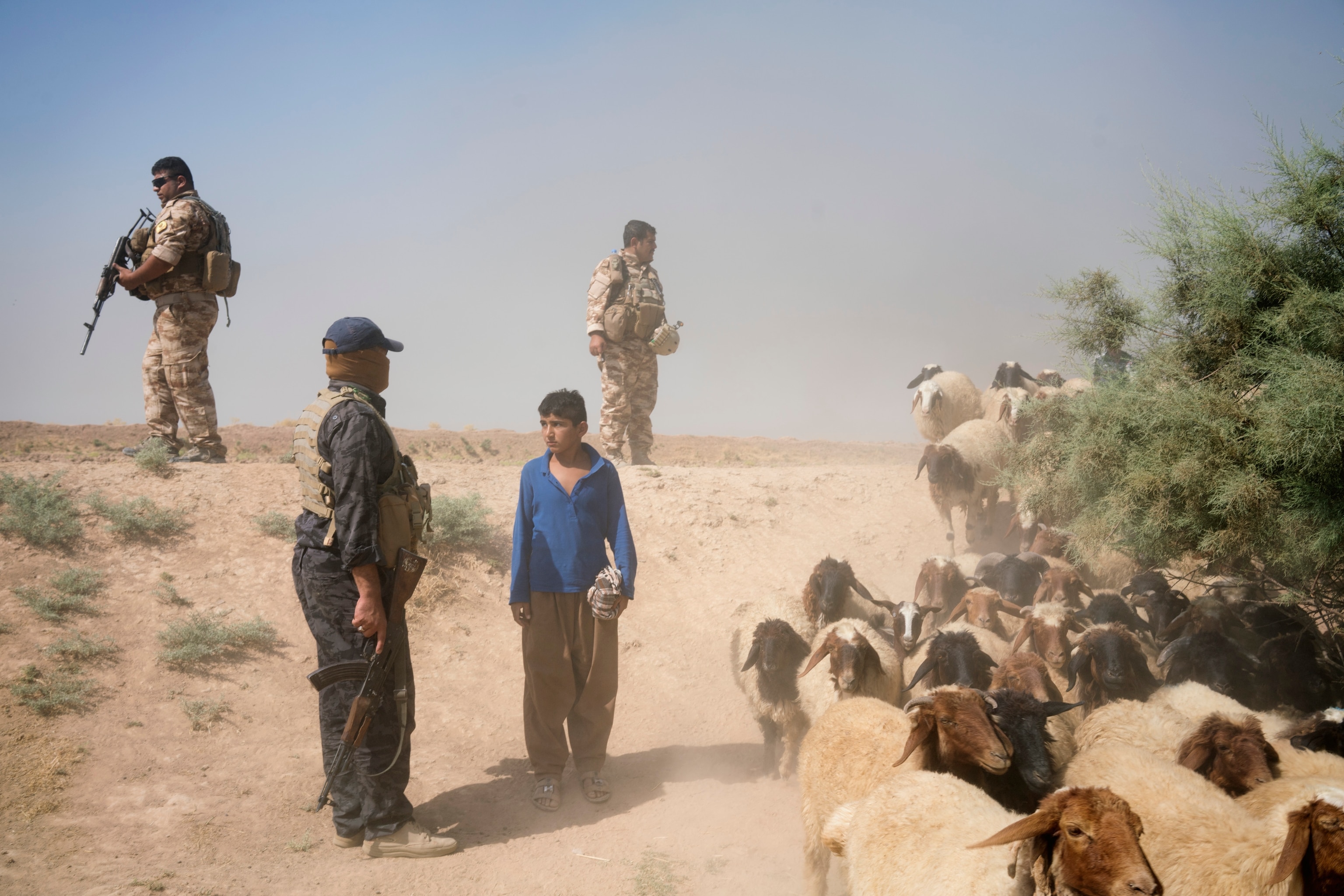 Iraqi police questioning and shepherd in Qaratapa
