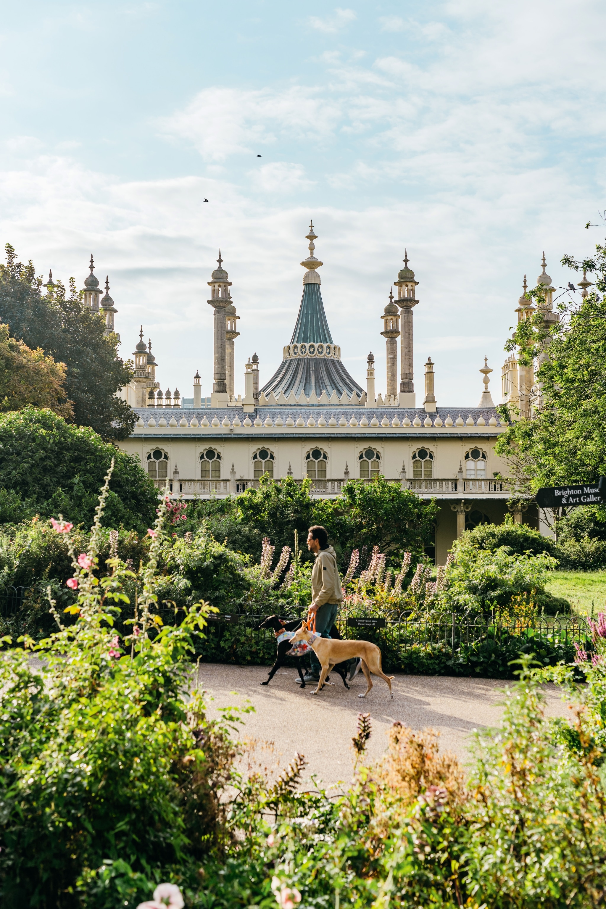 man walking dogs in front of Royal Pavilion