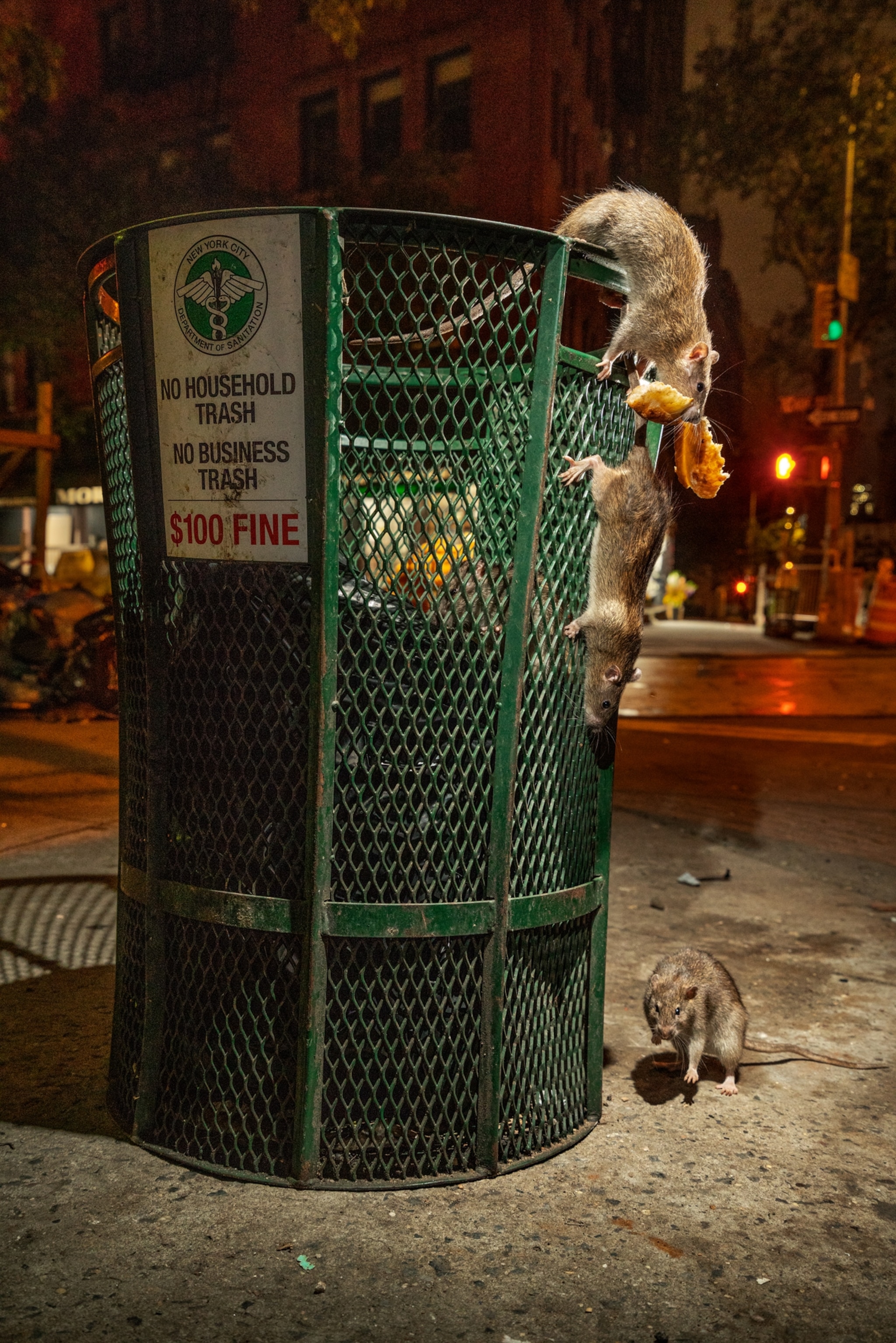 three rats coming out of a green trashcan, one with a pizza, at night