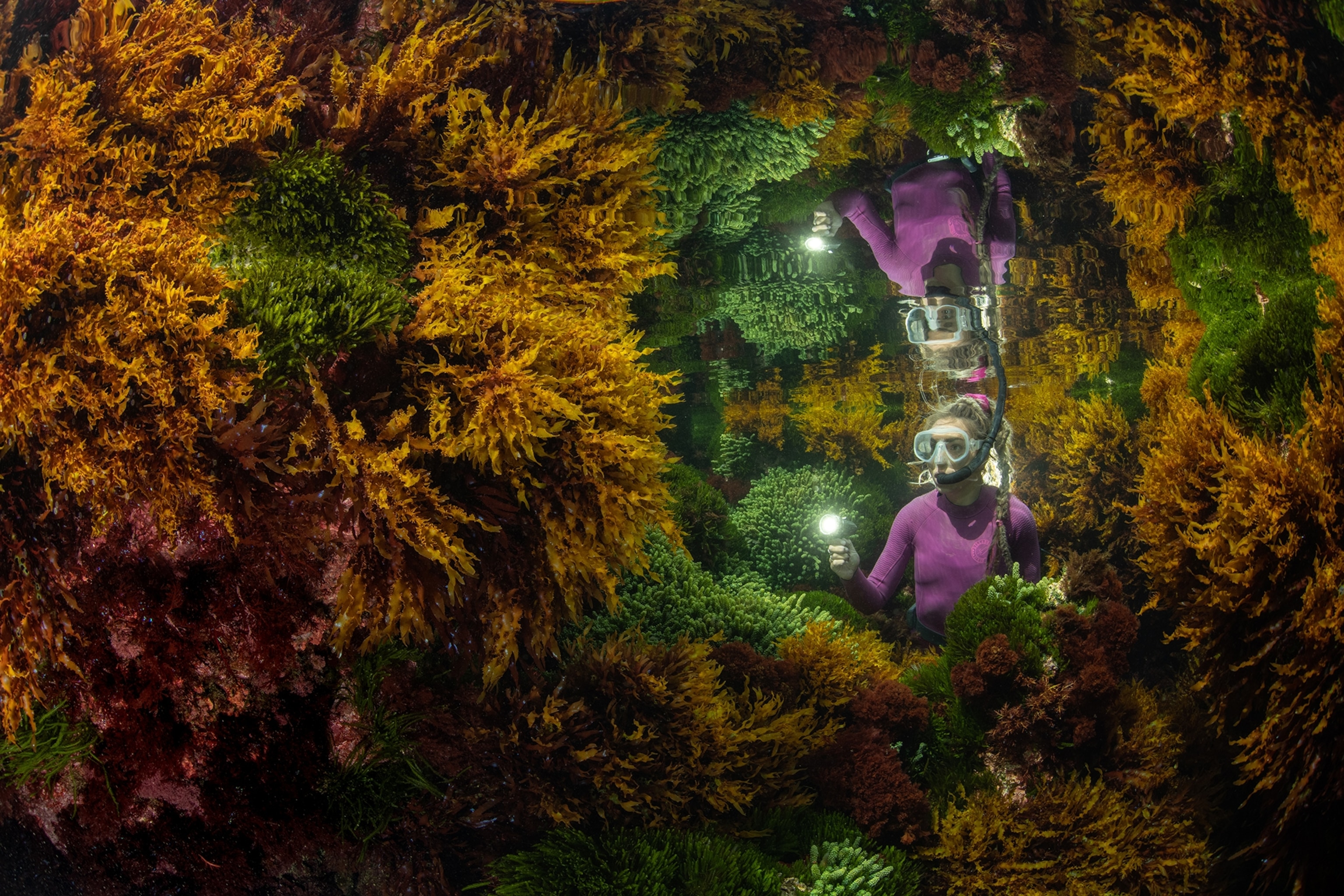During a spring low tide, Caitlin Woods (Marine Park Officer & NGS project team member) explores a thriving seaweed community at a site called The Potholes.