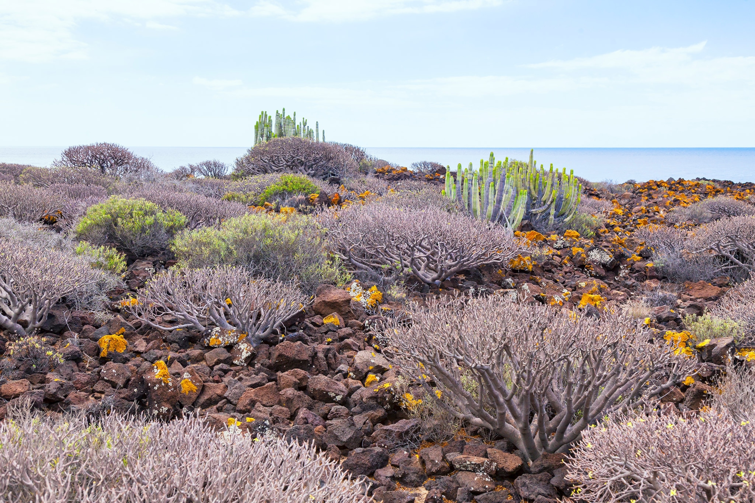 Natural landscape on the south coast of Tenerife in the Canary Islands in Spain