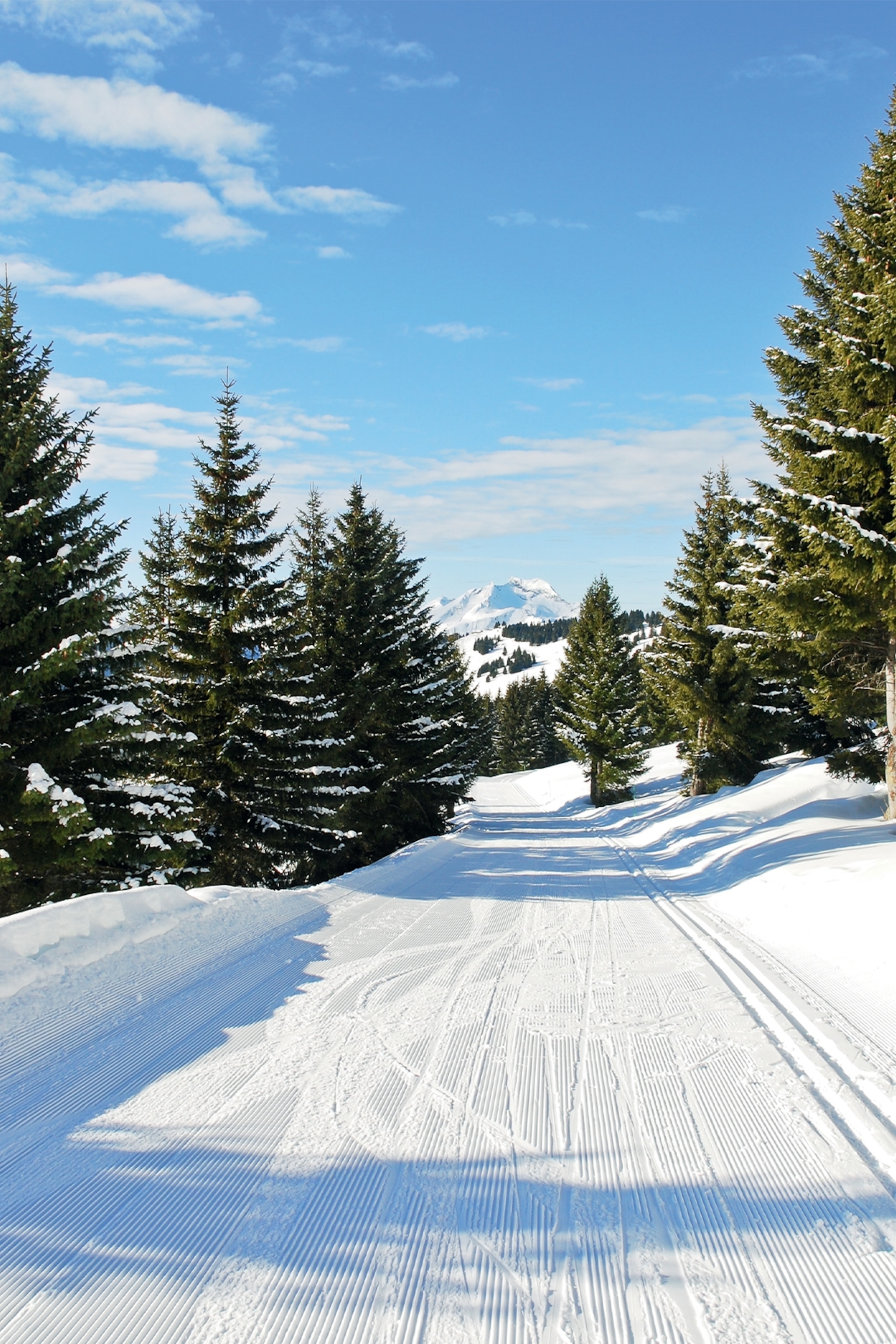 Avoriaz run