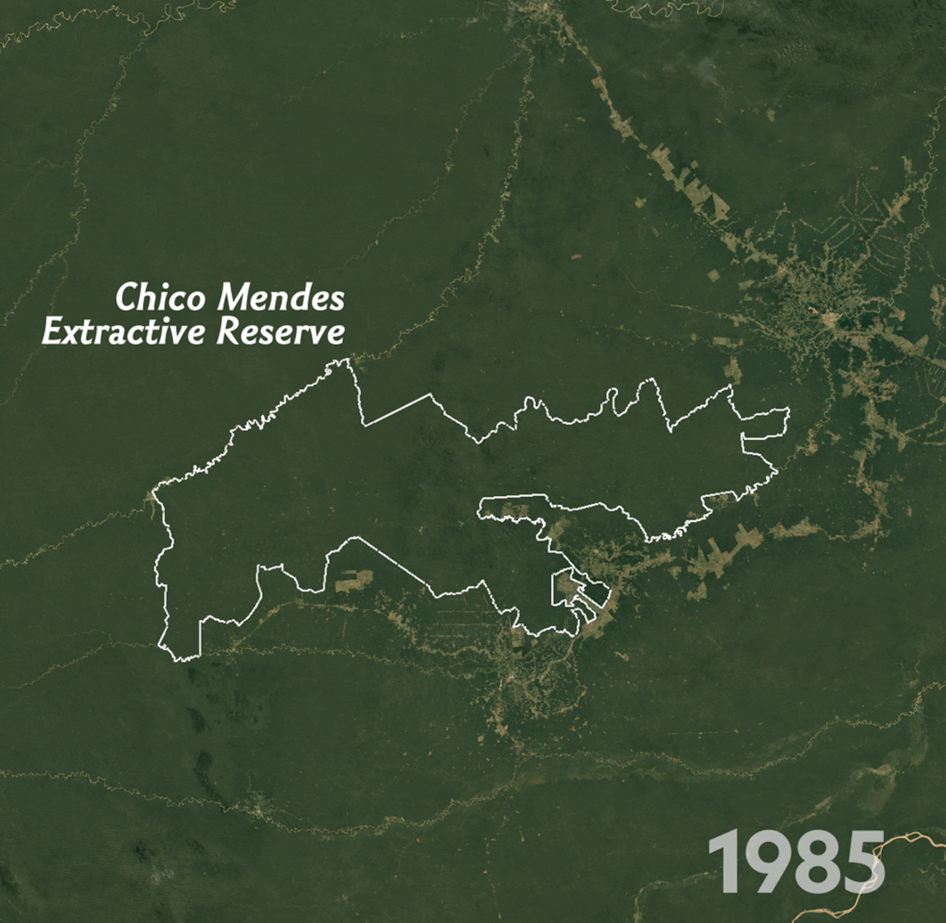 deforestation and development around the Chico Mendes Extractive Reserve