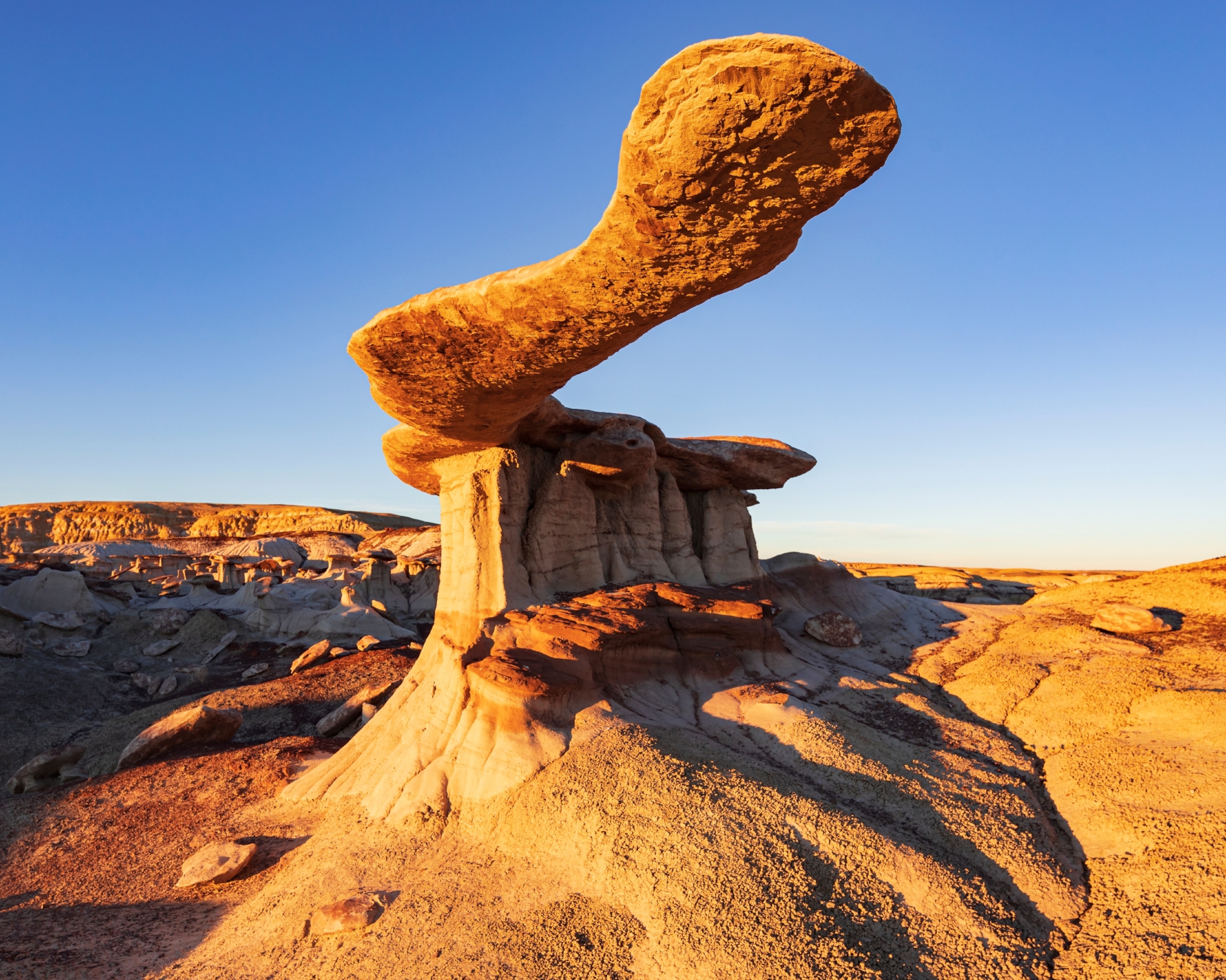 A thin wing of rock stick out far beyond its base resembling a wing