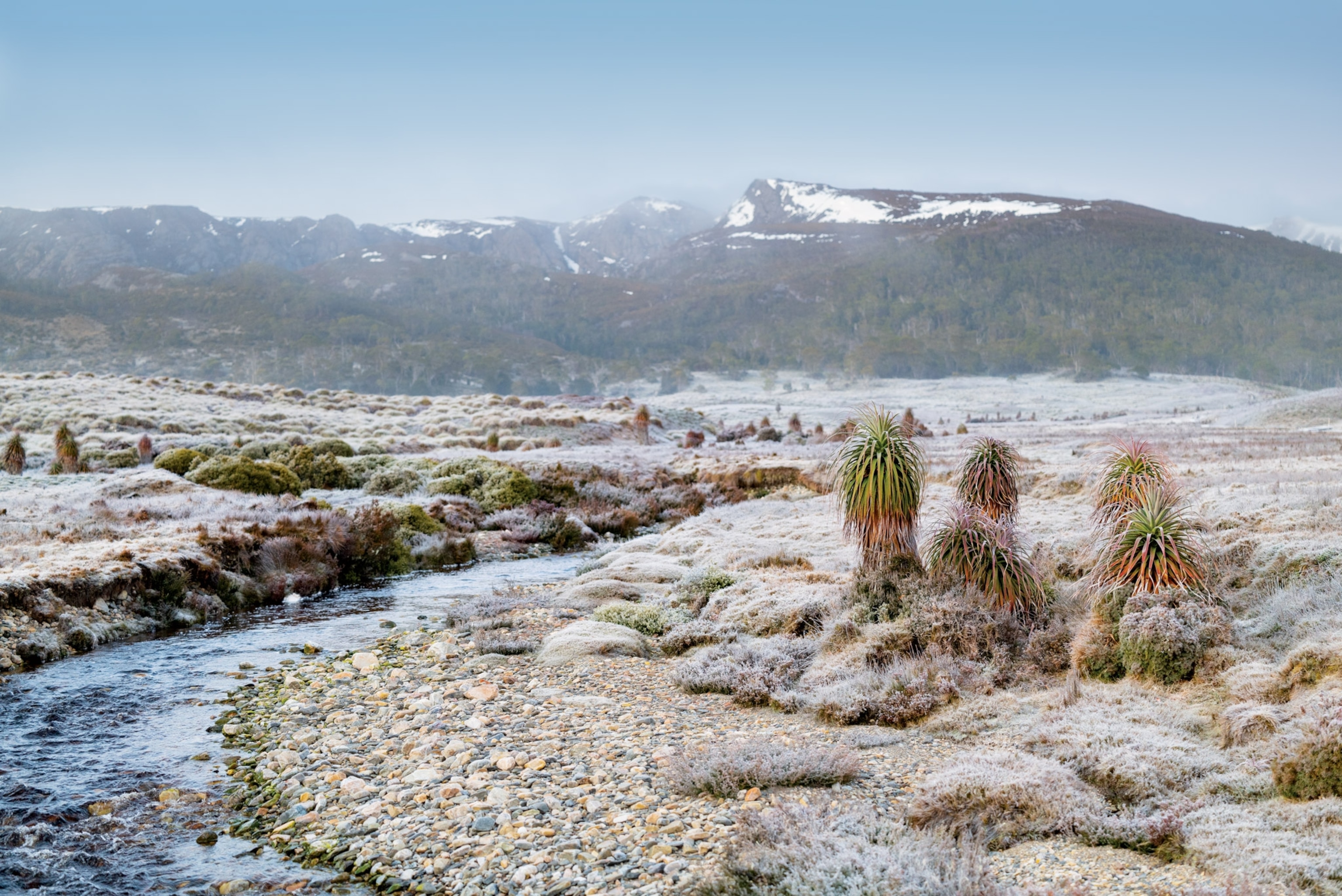 cradle mountain tasmania, australia