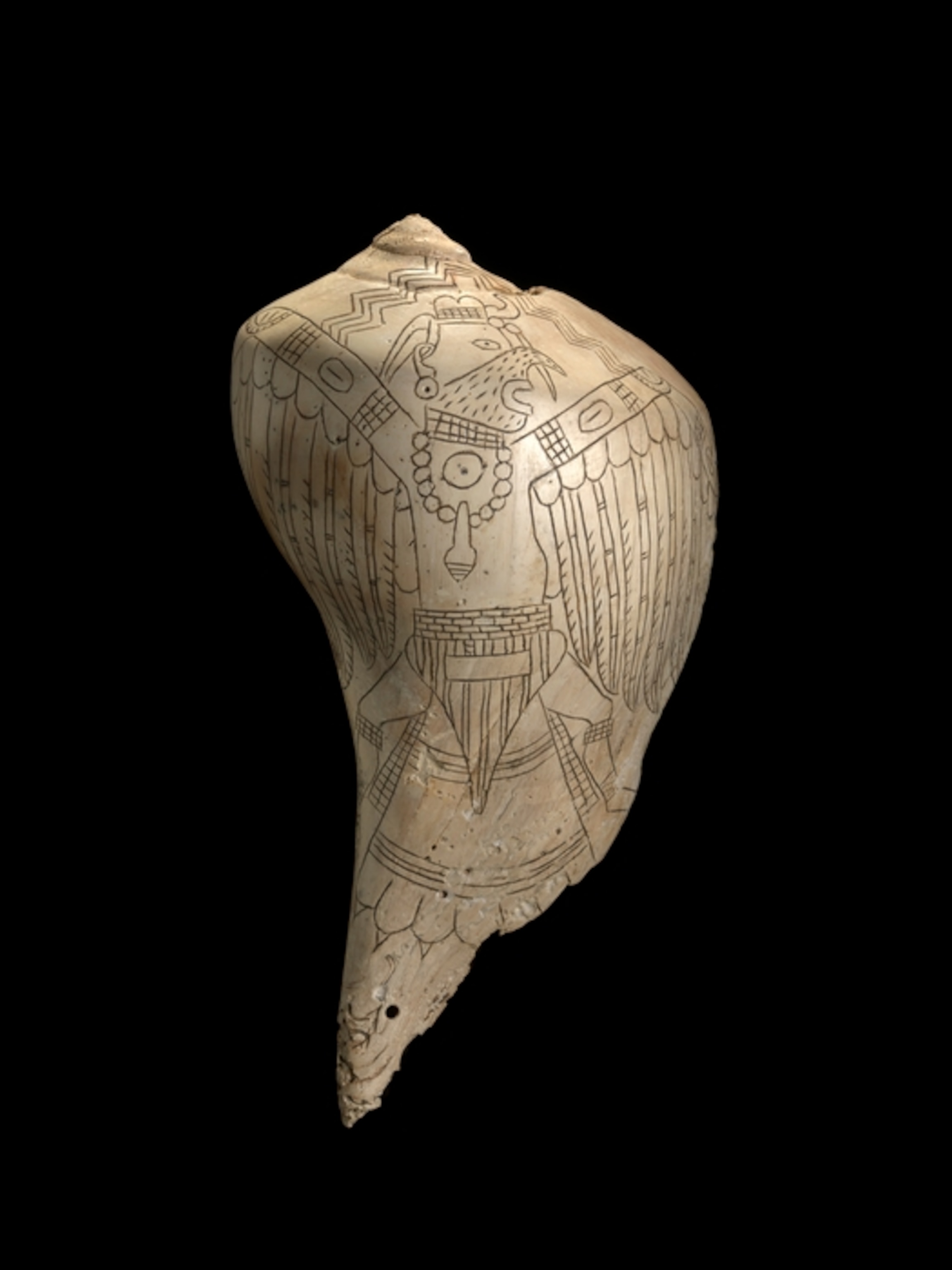 a studio photo of an Engraved Shell Medicine Cup