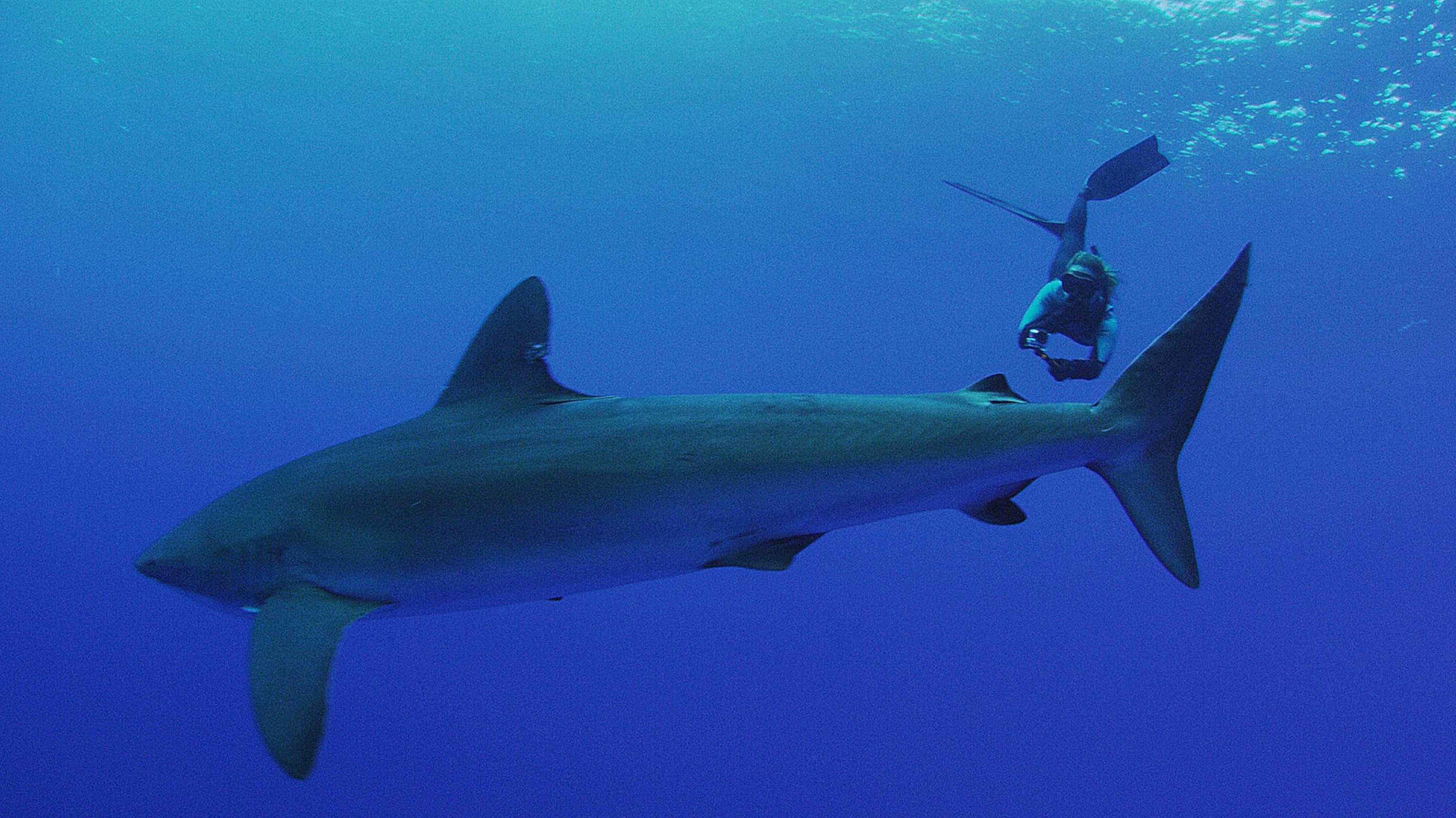 marine biologist Jessica Cramp in the Galapagos Islands