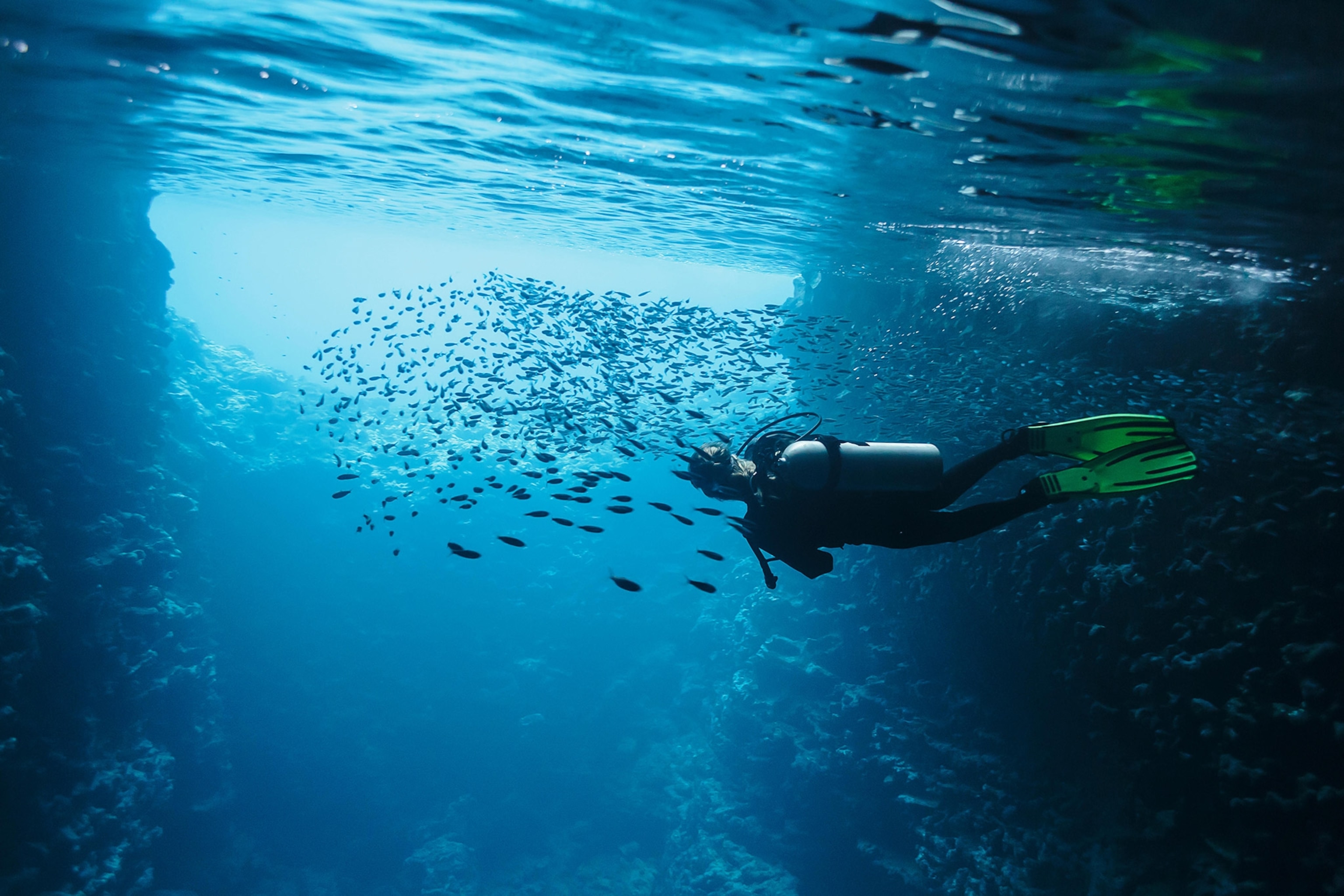 diving in Vava'u, Tonga