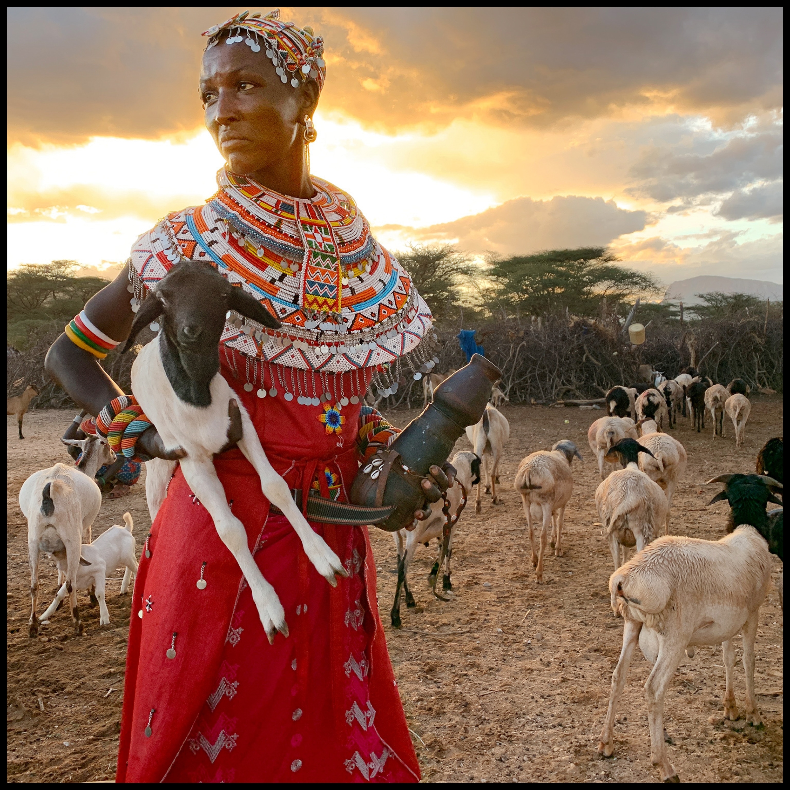 a woman holding a goat, surrounded by other goats