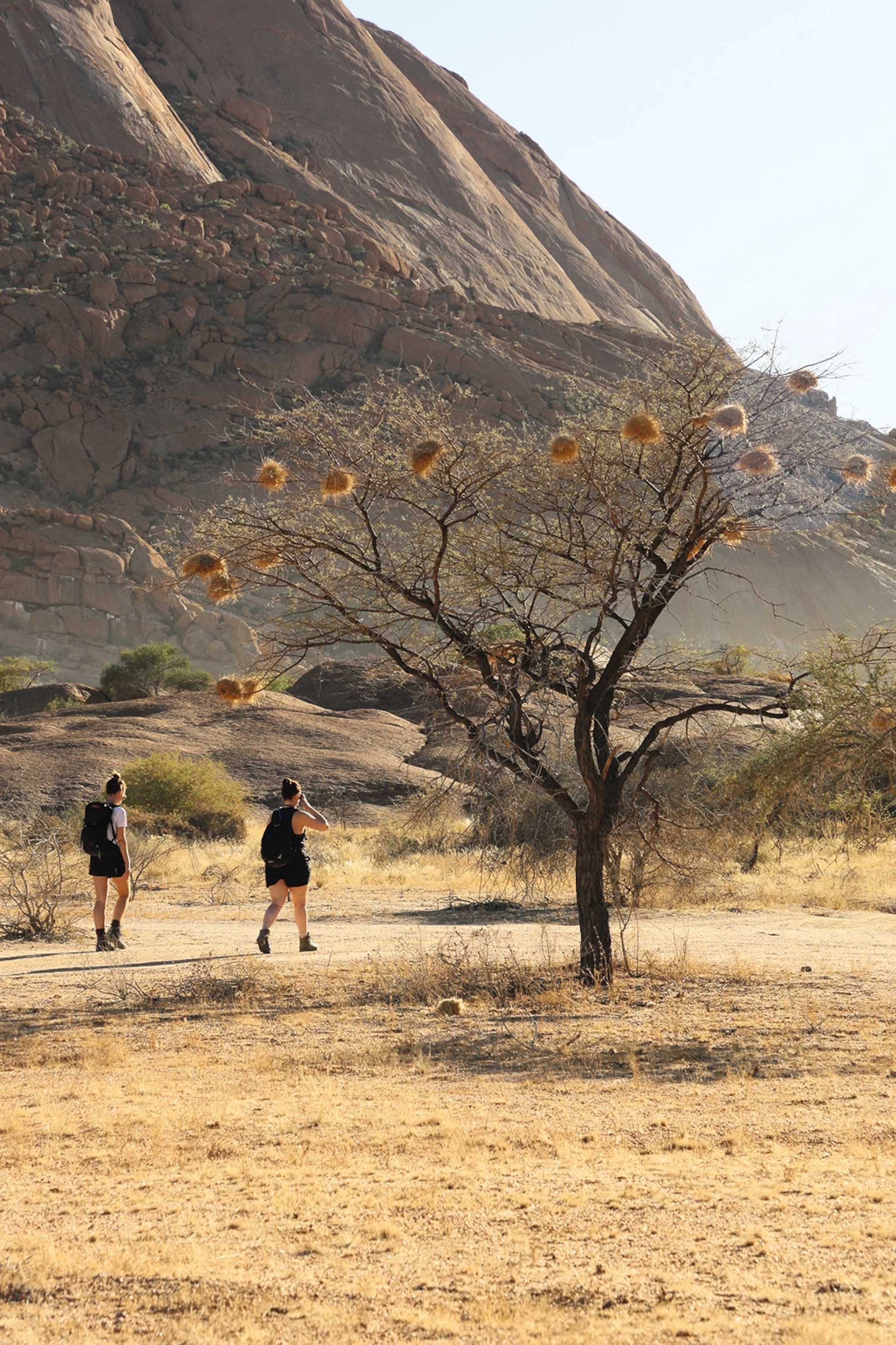 Two hikers in the desert