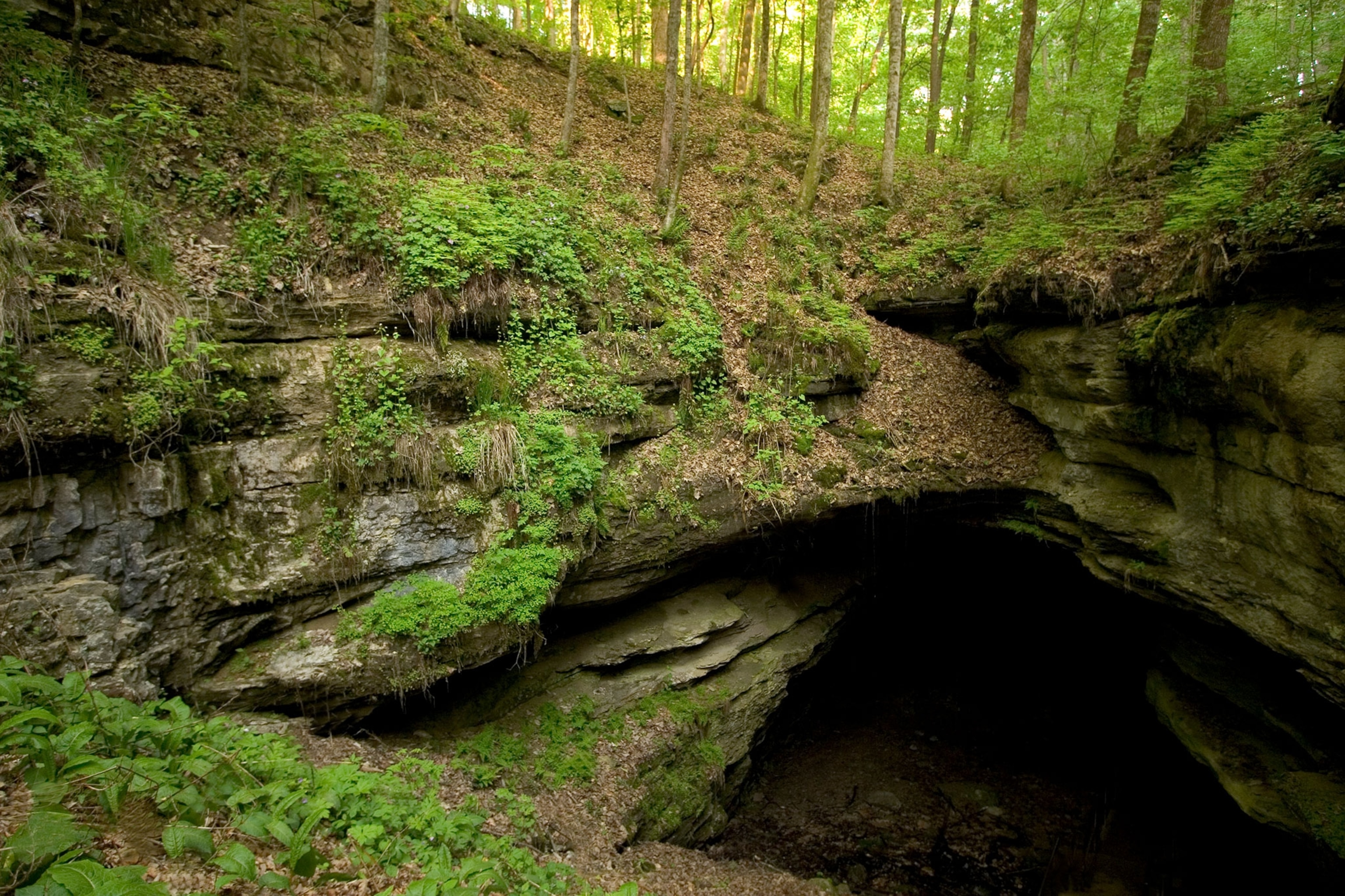 Mammoth Cave holds evidence of human visitors going back over 4,000 years. 