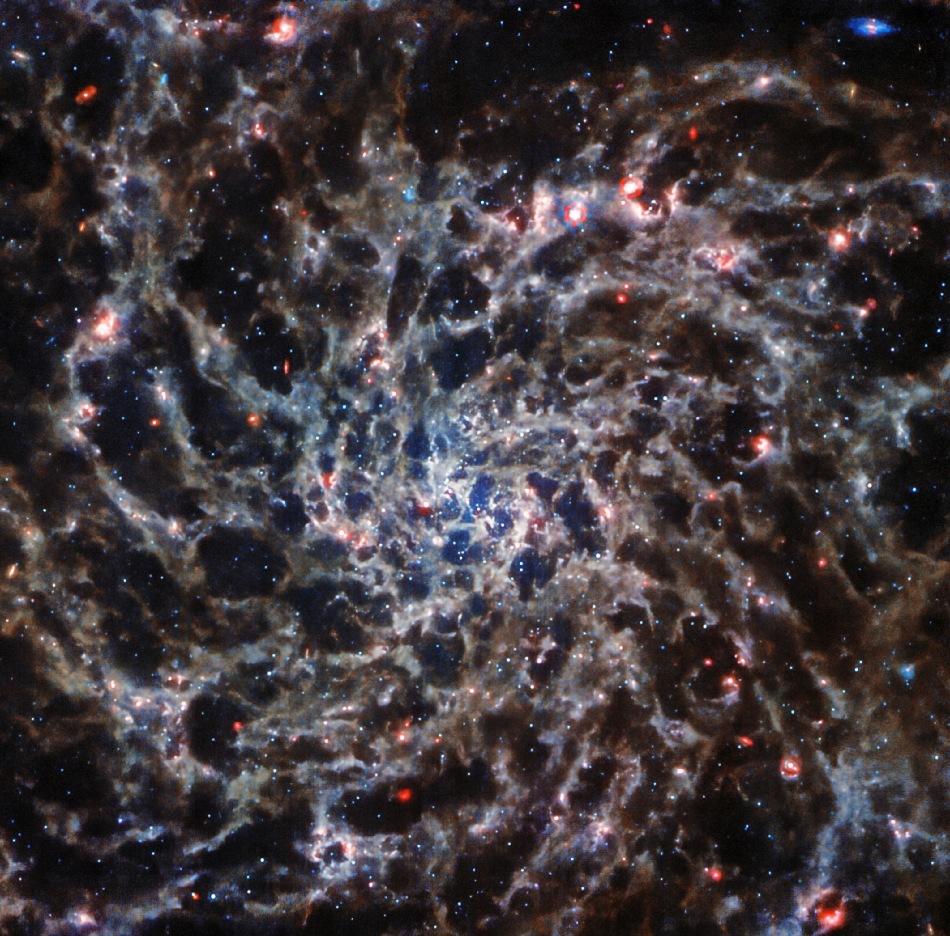 Spiral Arm Galaxy