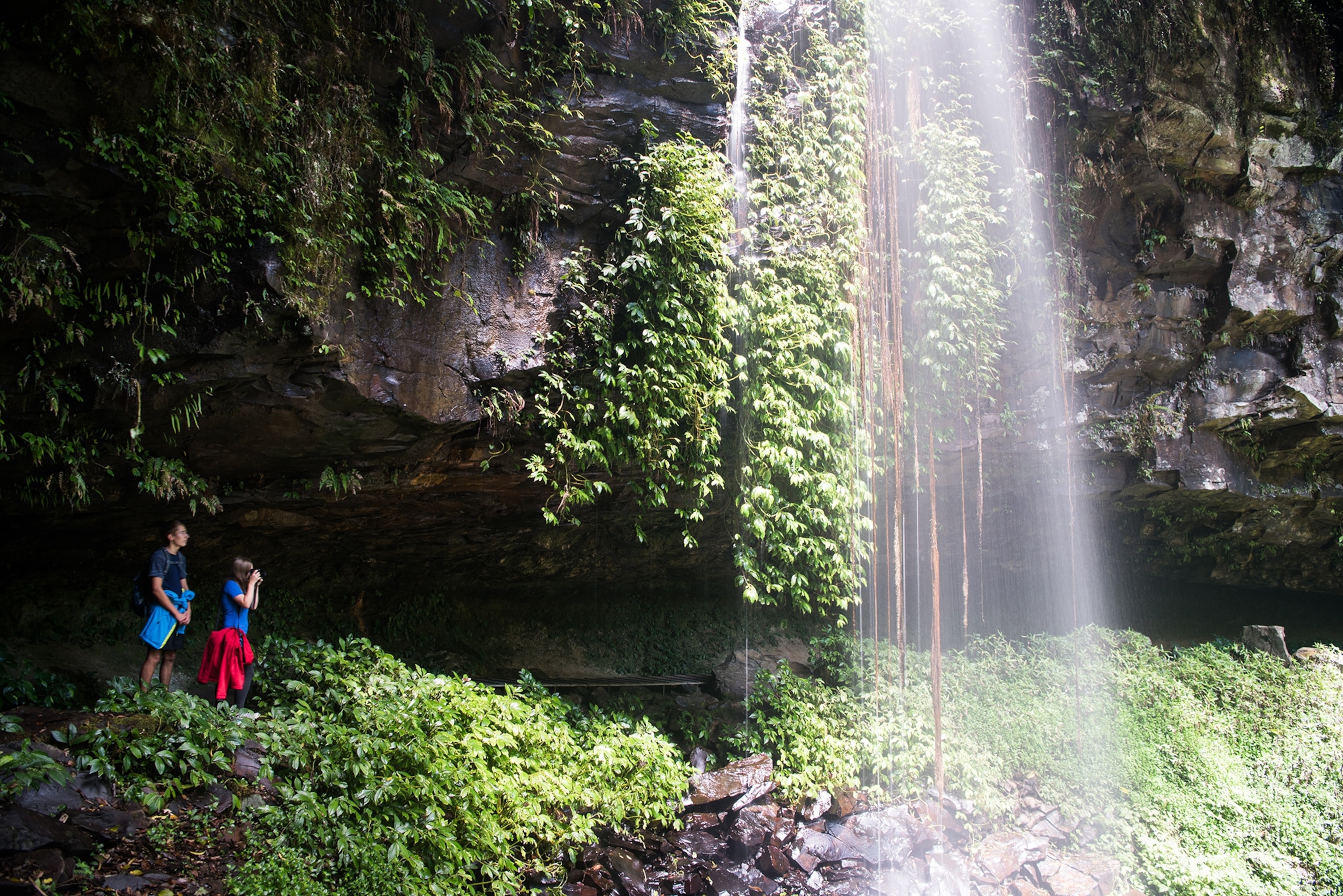 Crystal Shower Falls on the Wonga Walk in Dorrigo National Park, Australia