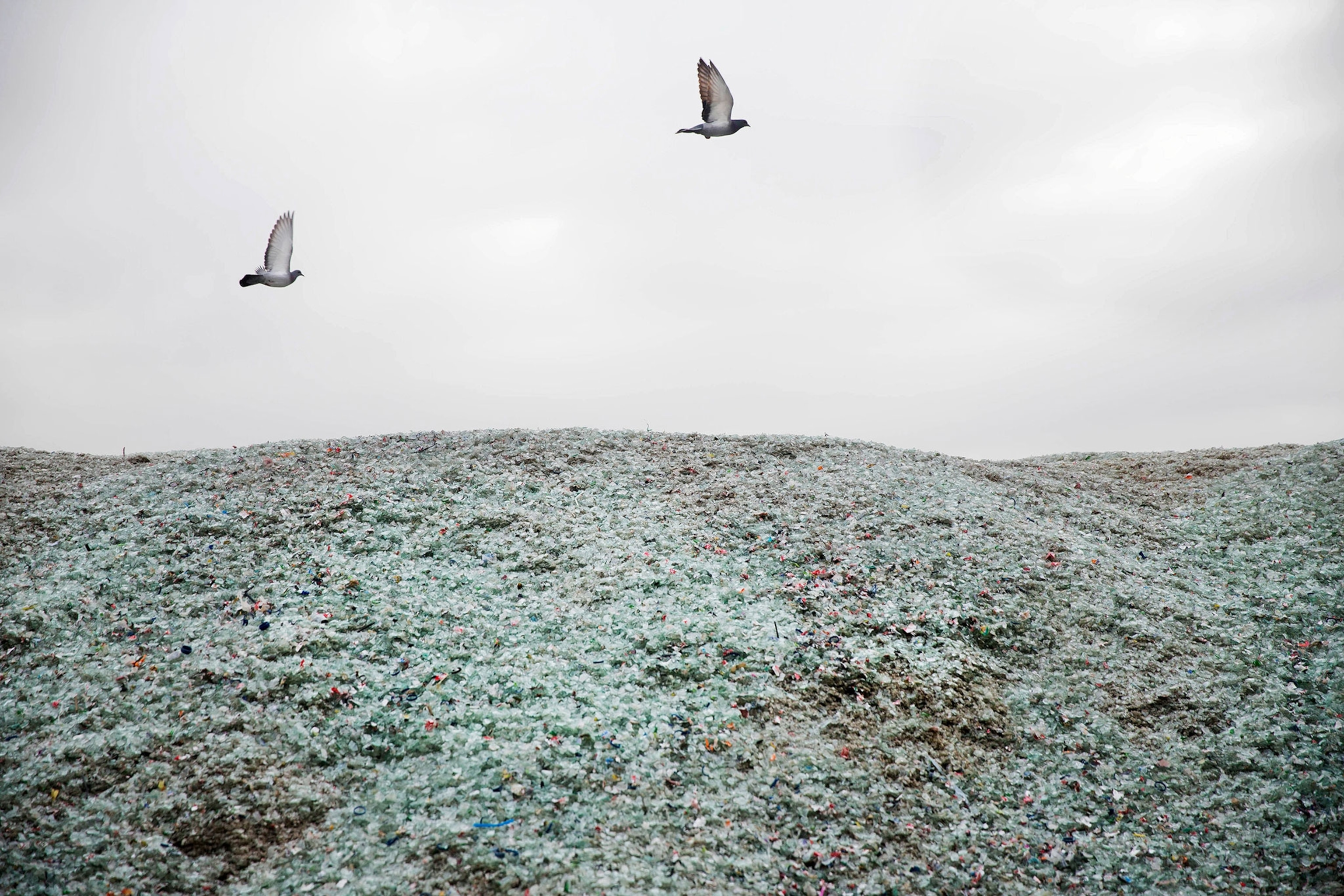 birds flying over piles of broken glass