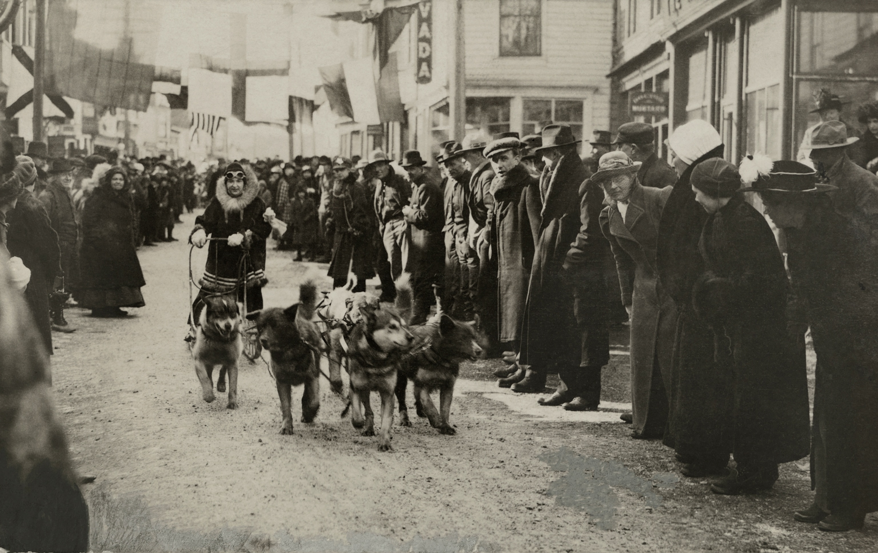 sled dogs pulling woman through town