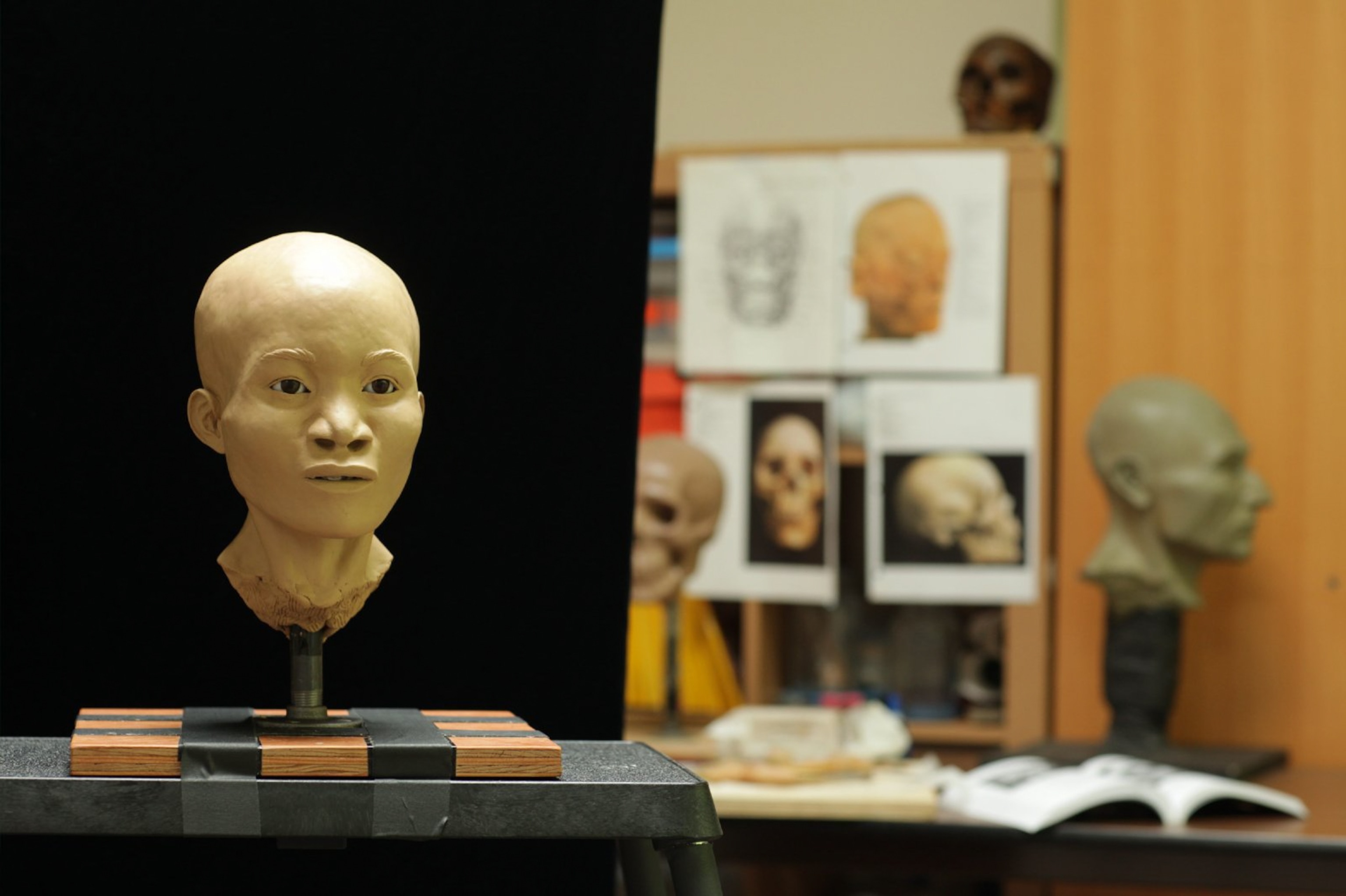 A facial reconstruction bust displayed against a black backdrop; to the side, in the background are additional reconstructions, as well as photographs and sketches of skulls.