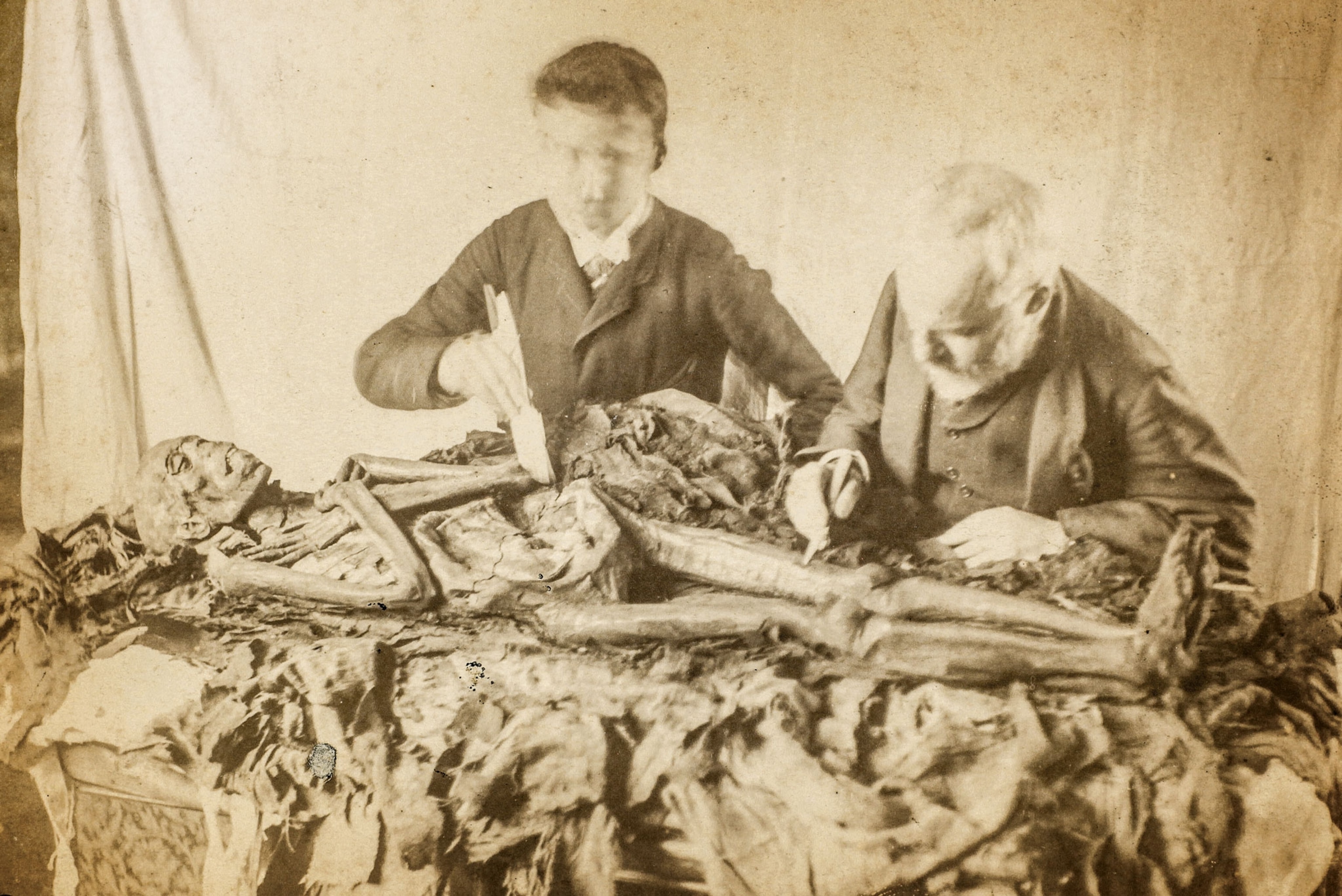 two unidentified men carefully dissect a mummy