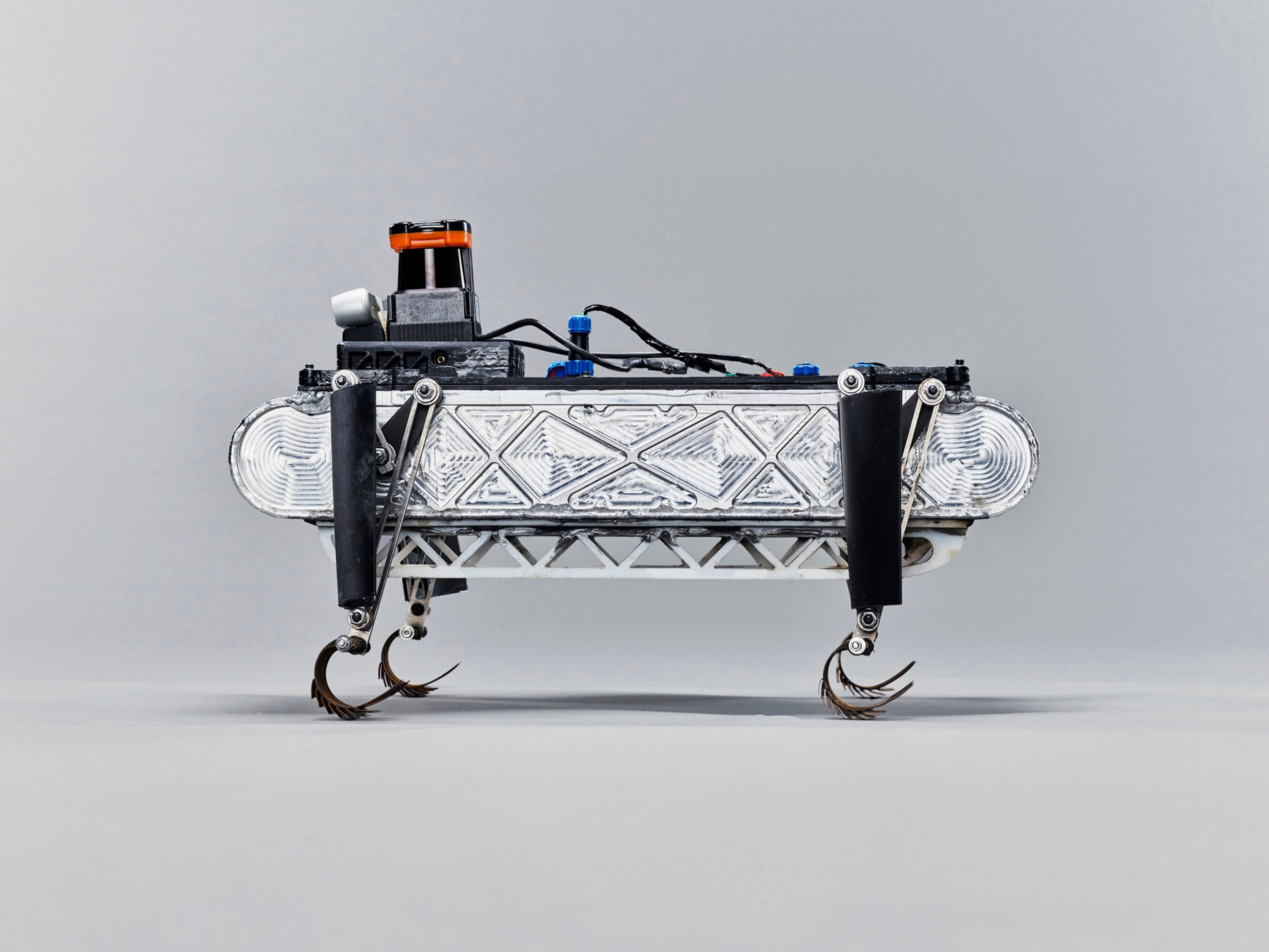 Quadraped Robot