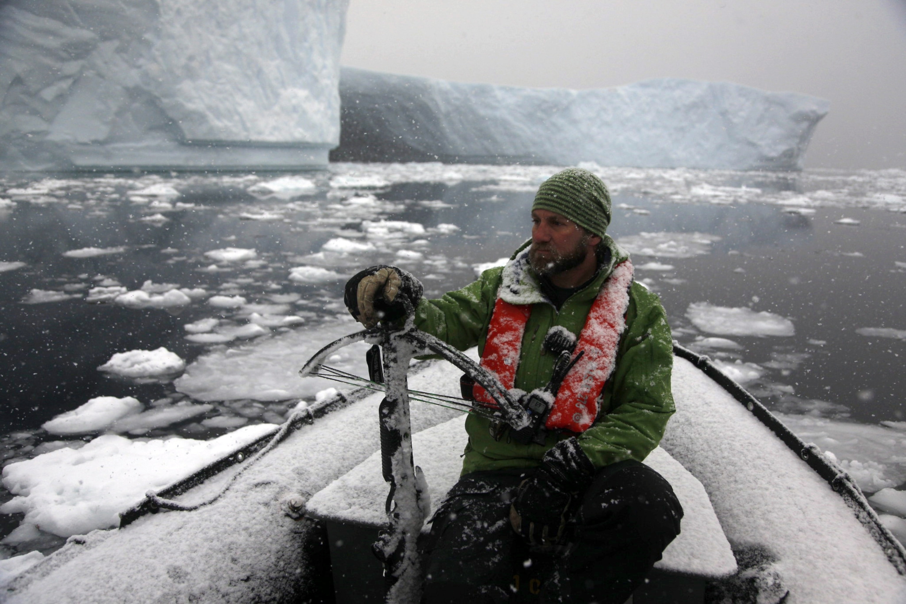 researcher Ari Friedlaender