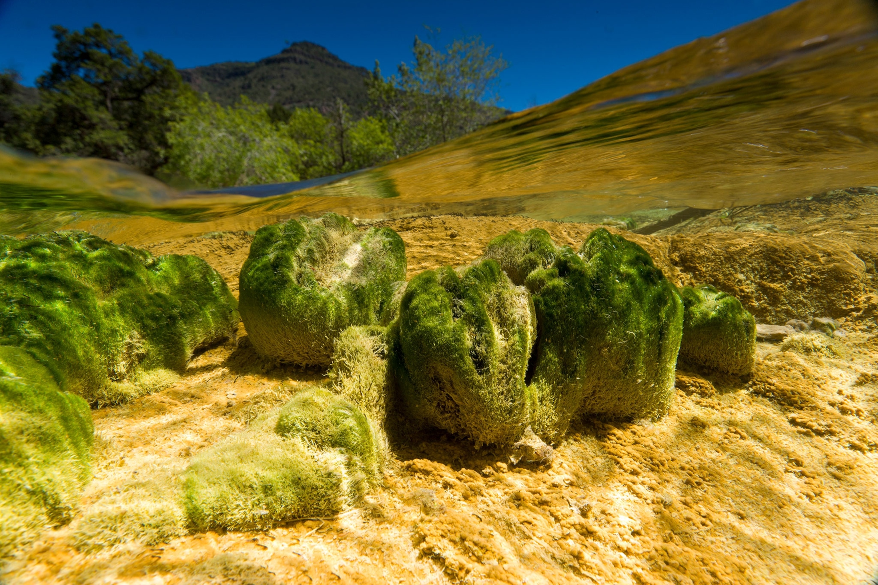 fossil creek river