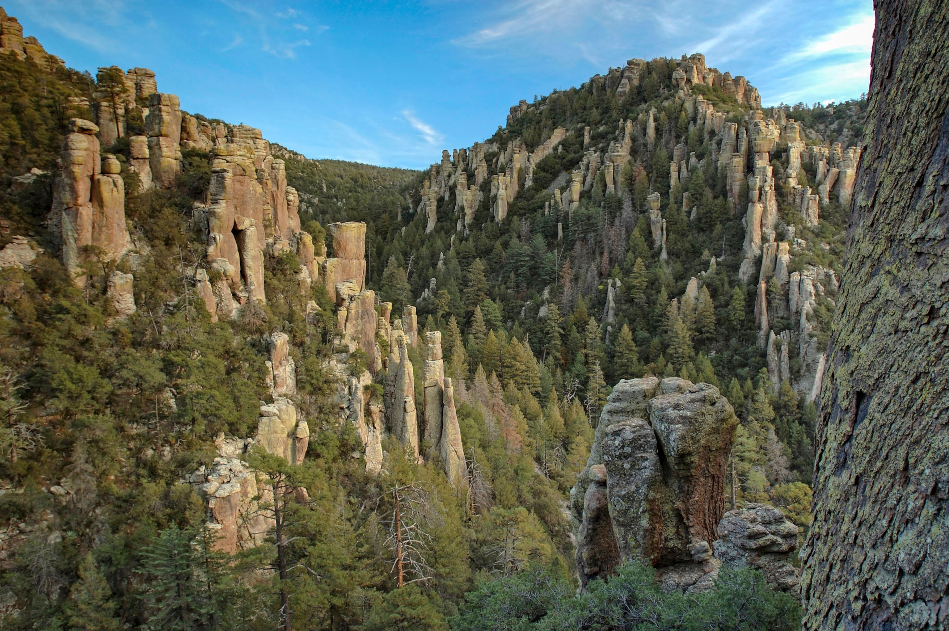 hoodoos pepper the landscape in Chiricahua National Monument