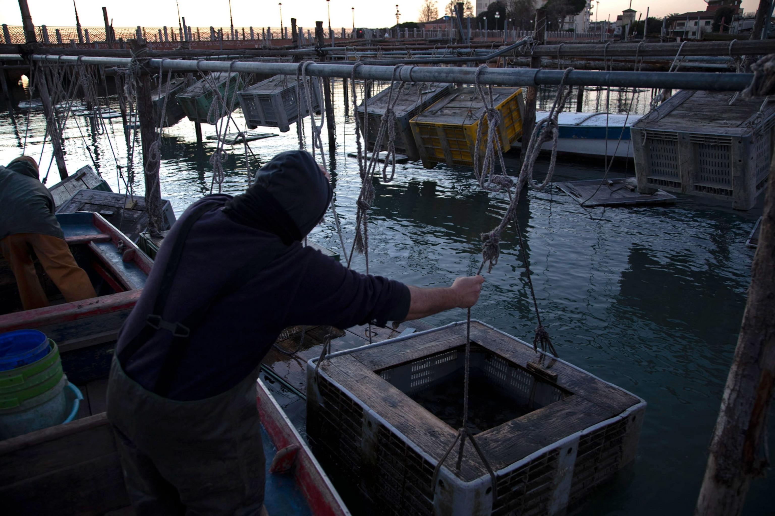 A fisherman cleans up crabs caught the night before in the Venice Lagoon.