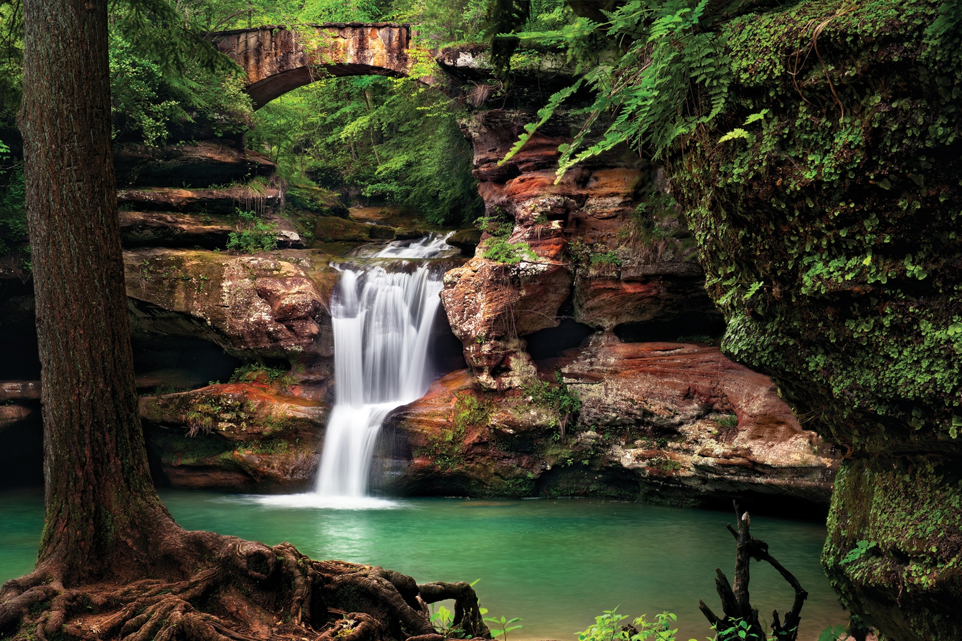 Waterfall in a forest