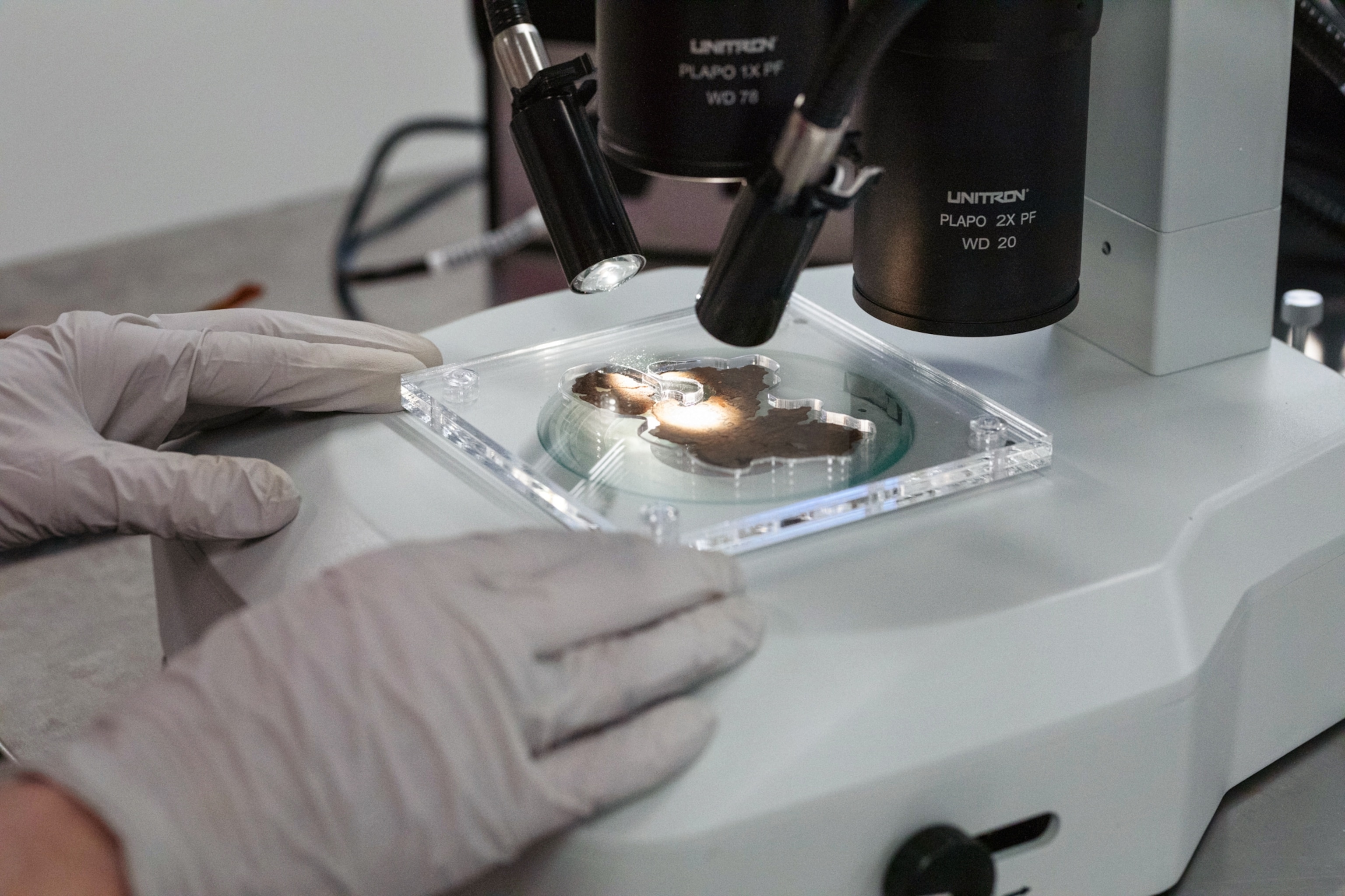 gloved hands holding scroll fragment under microscope lens