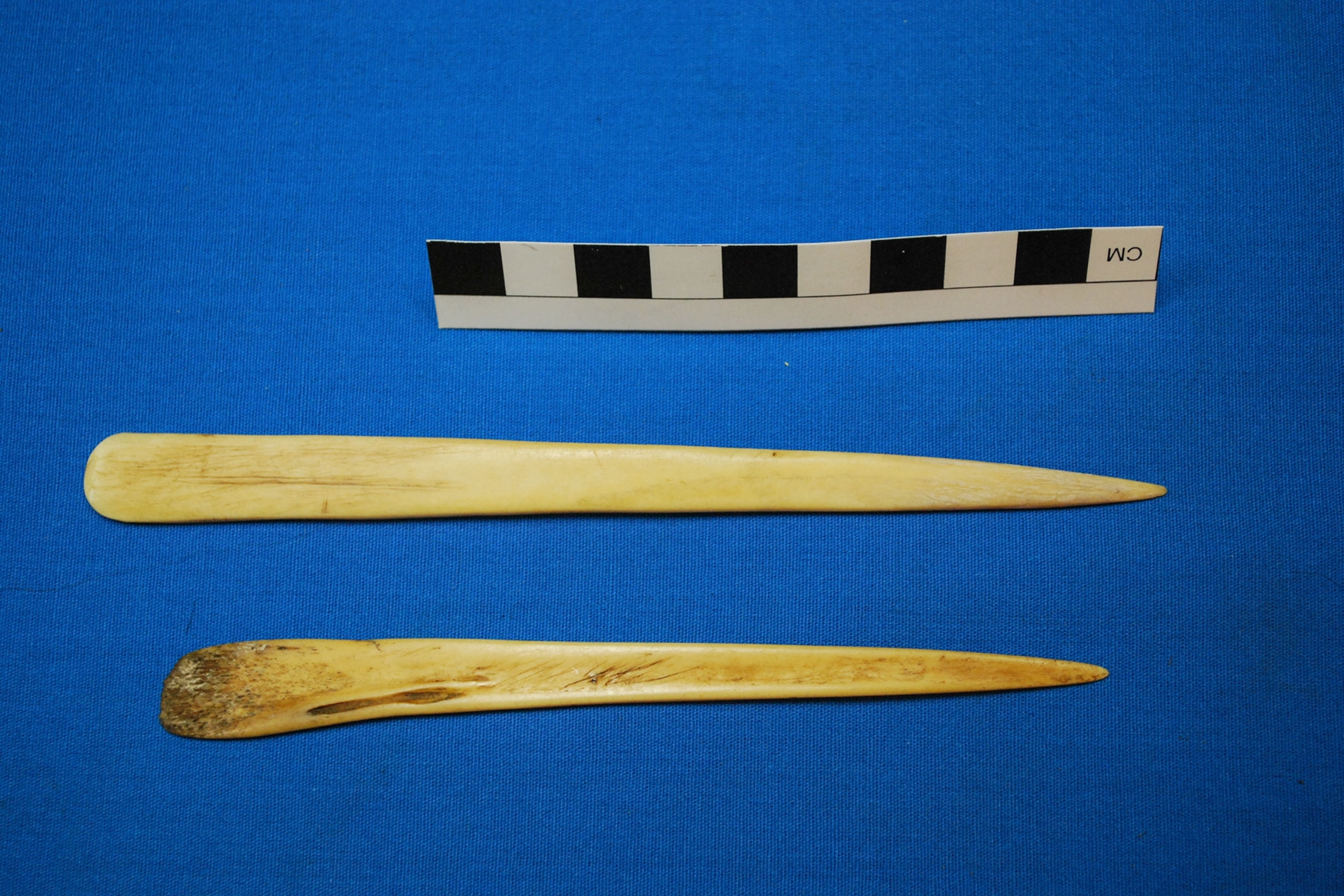 an artifact dating one thousand years back used in ayahuasca ceremonies