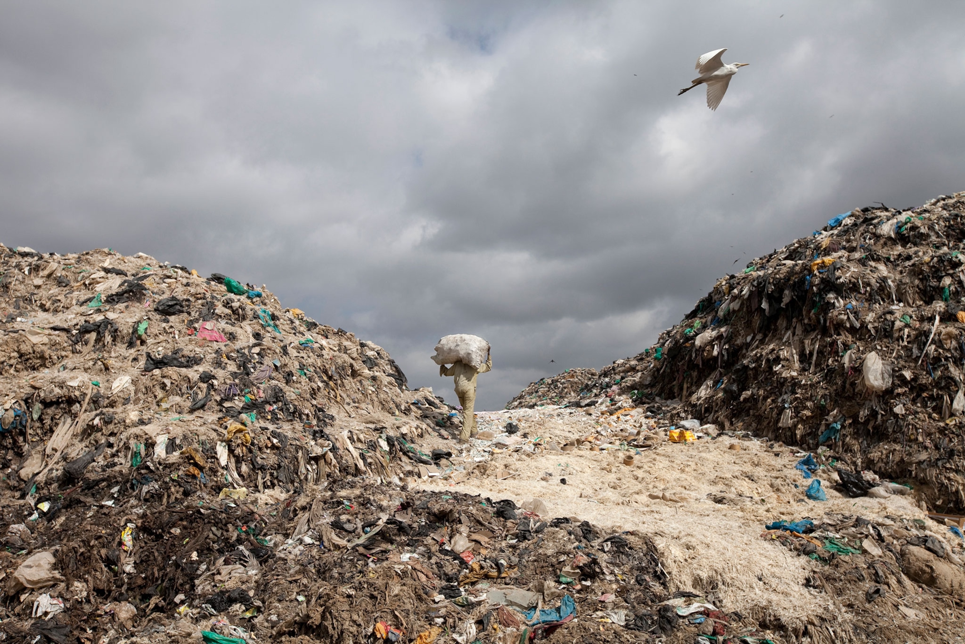 a landfill