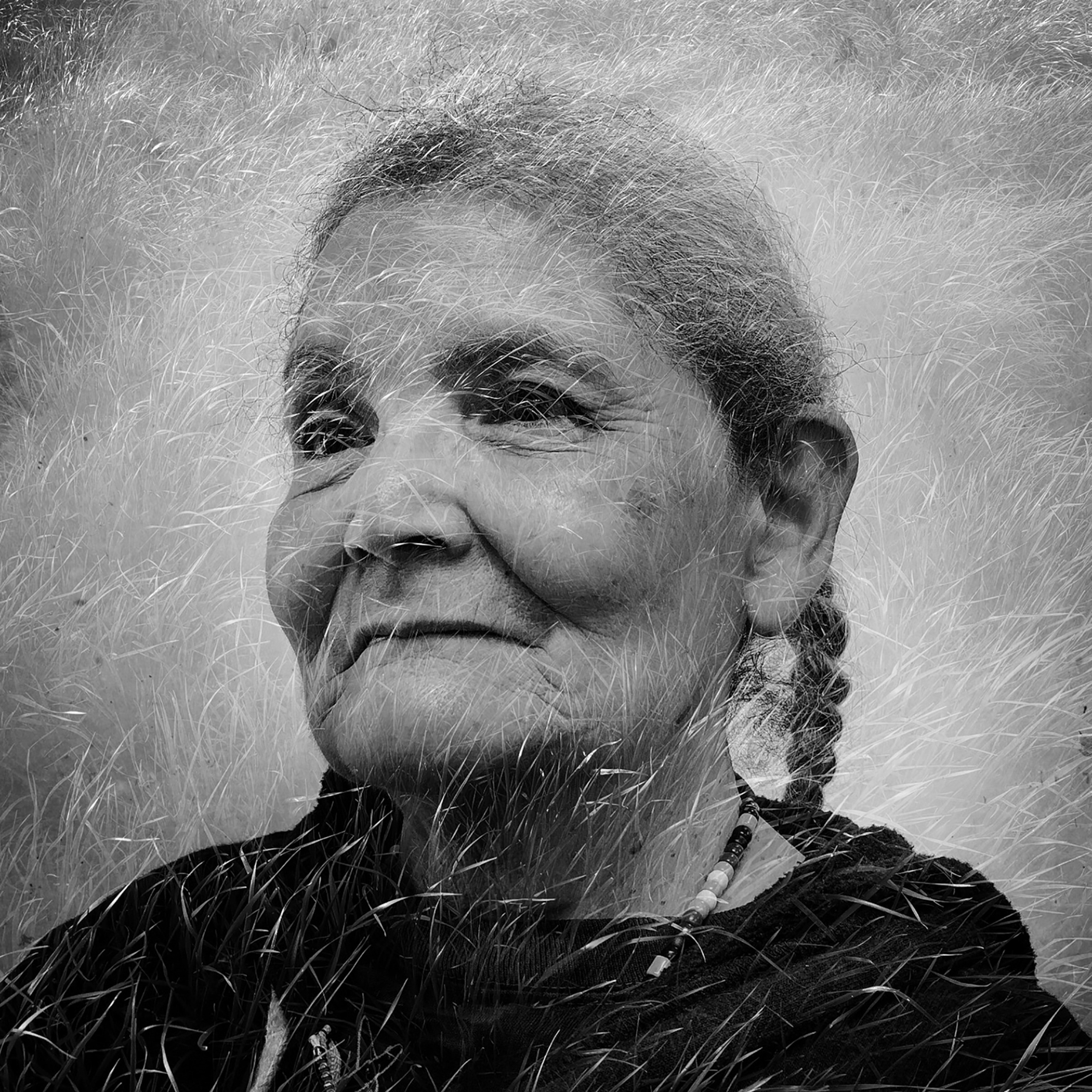 Picture of woman's face seen through grasses.
