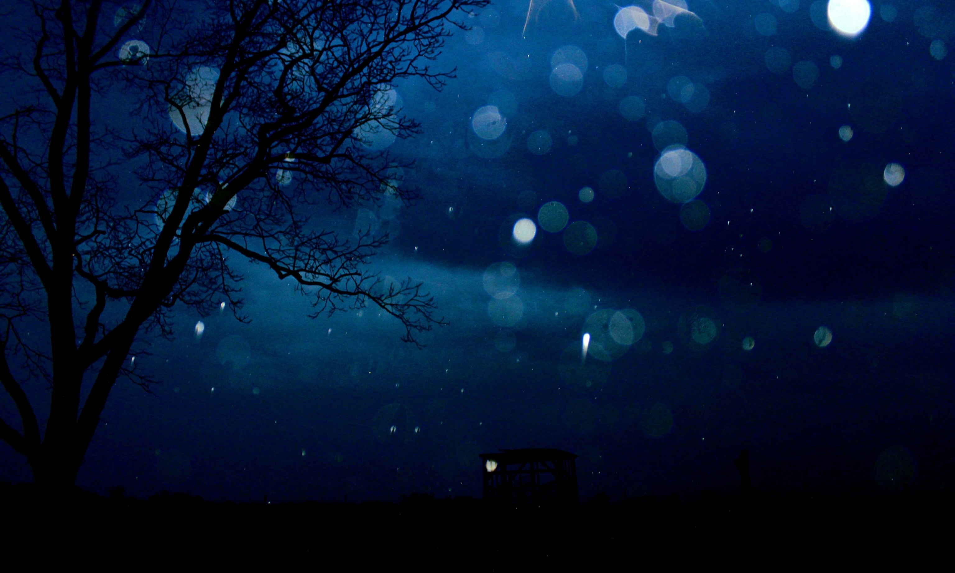 Photo of dark sky with branches and snow