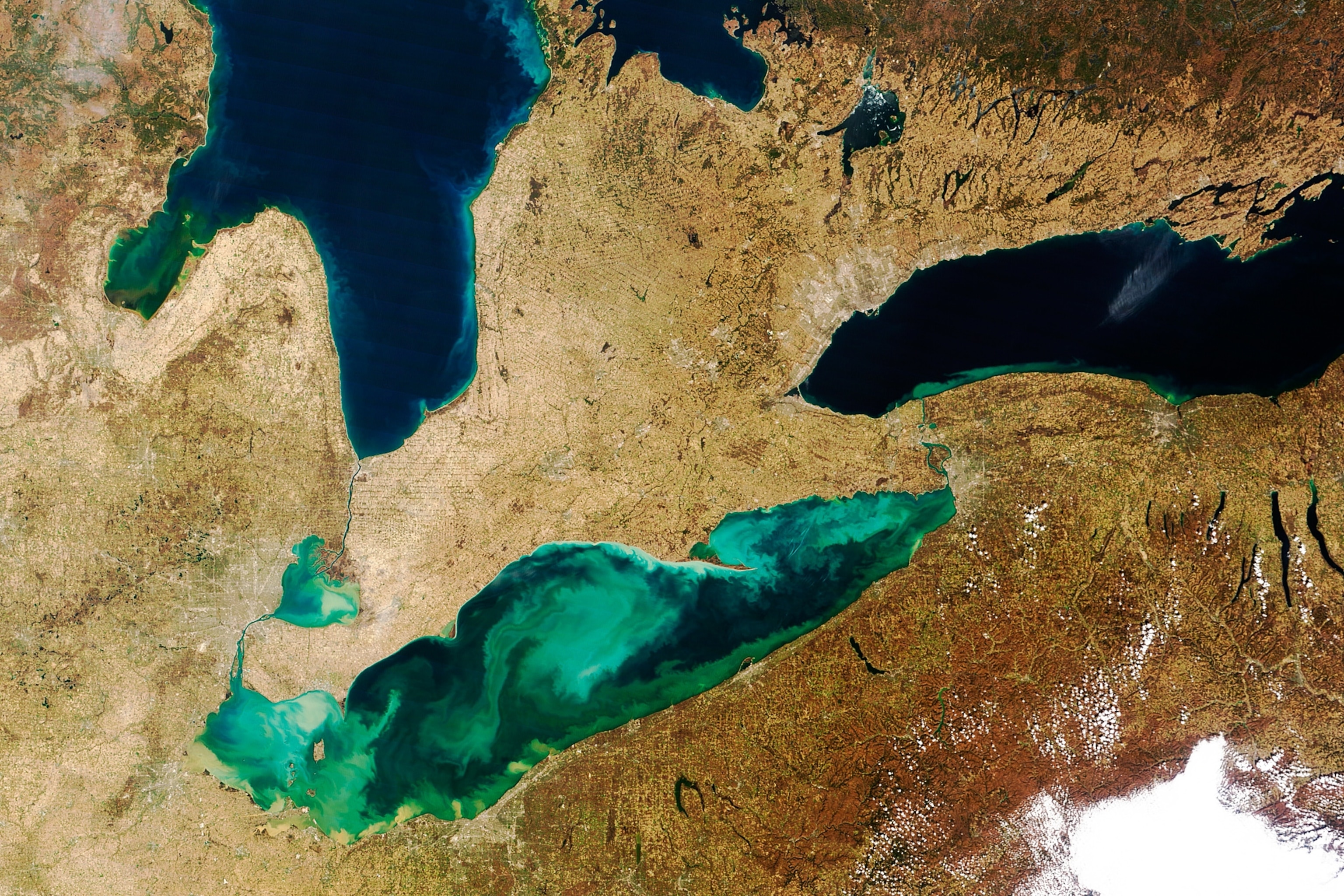 Lake Erie filled with suspended sediment and milky-green algae in 2012