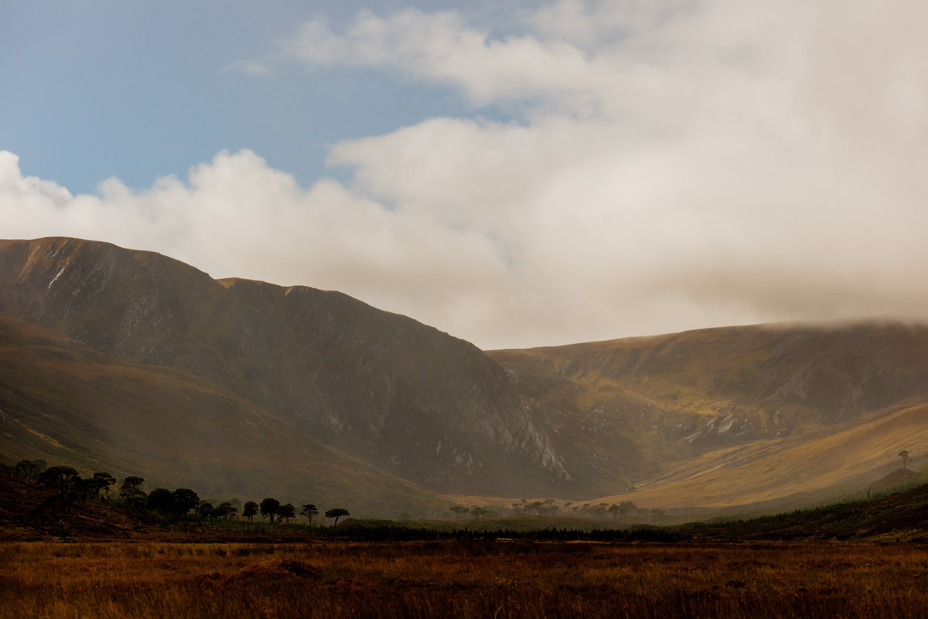 Rolling hills and greenery on the Alladale Reserve, Sutherland Northern Scotland