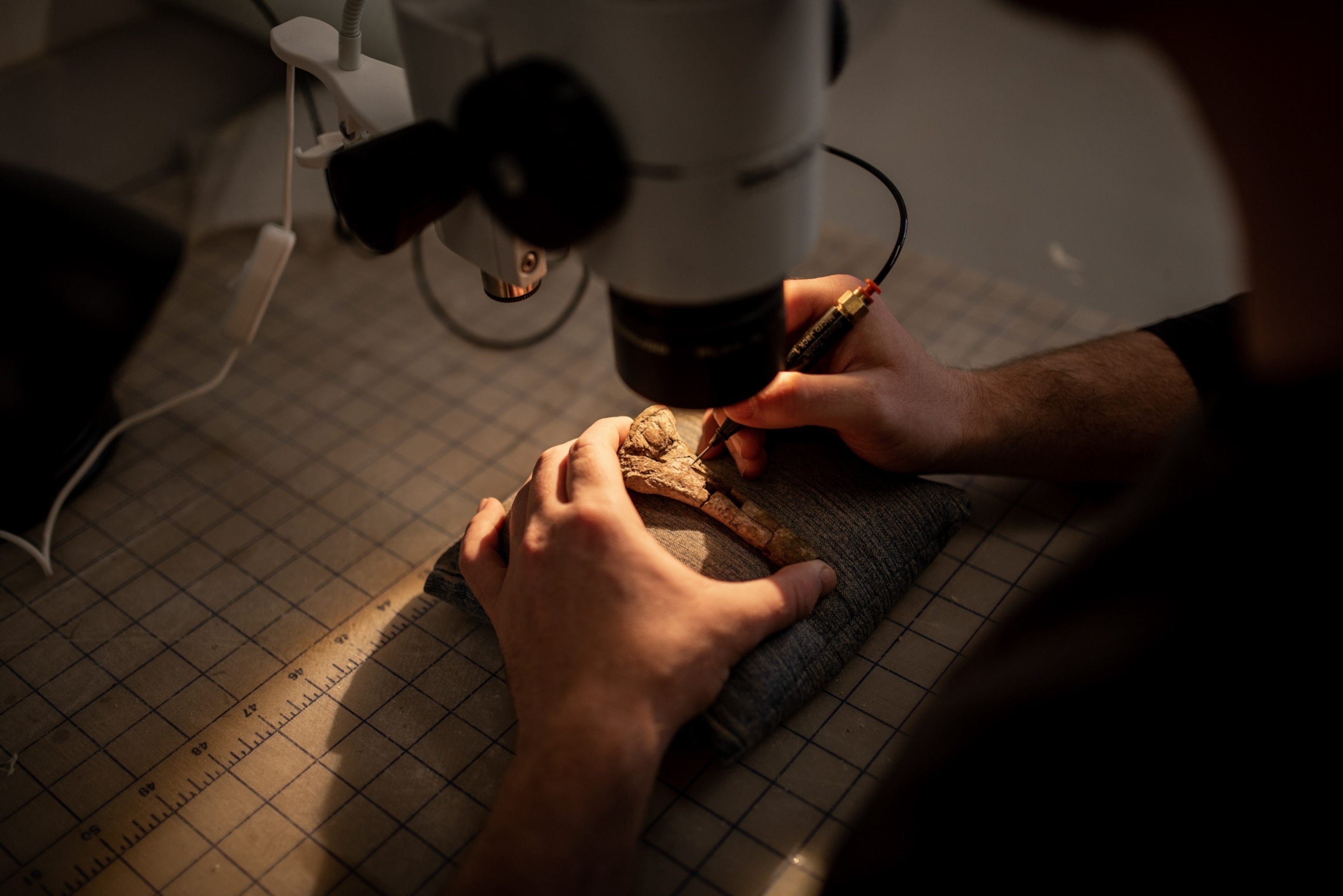 Christopher Griffin preparing a Mbiresaurus tibia.