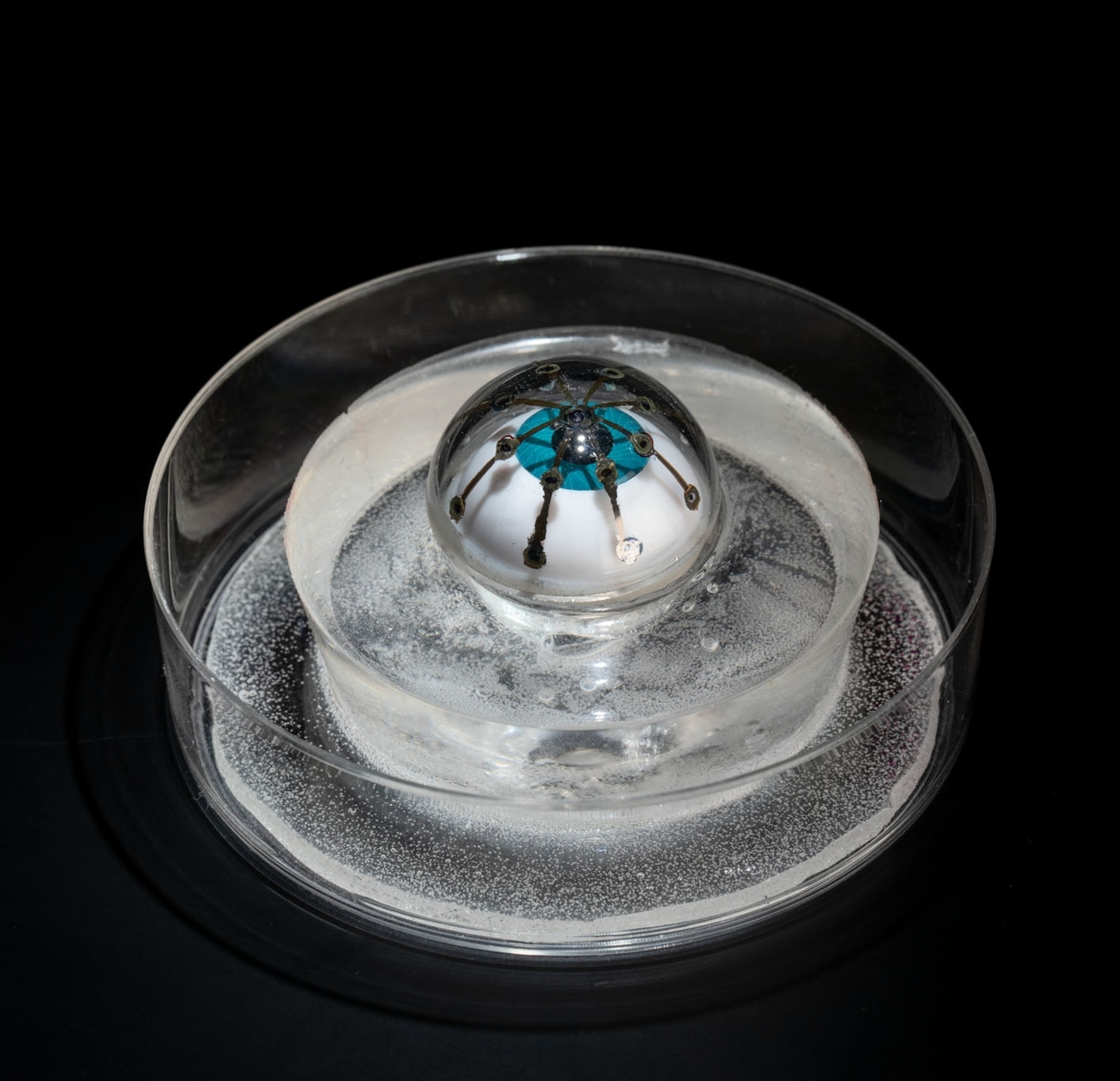 bionic eye